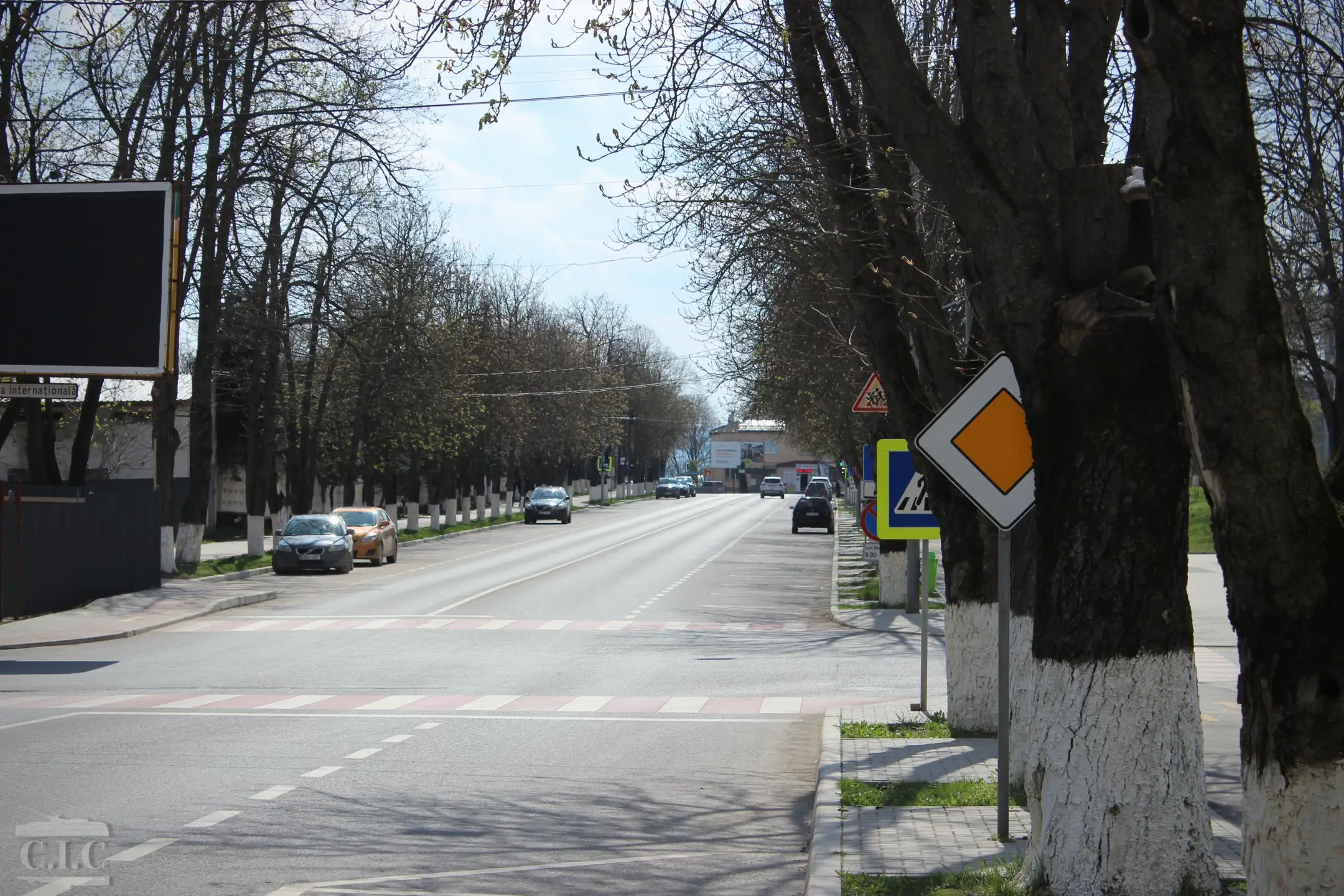 Image 13 of 15
