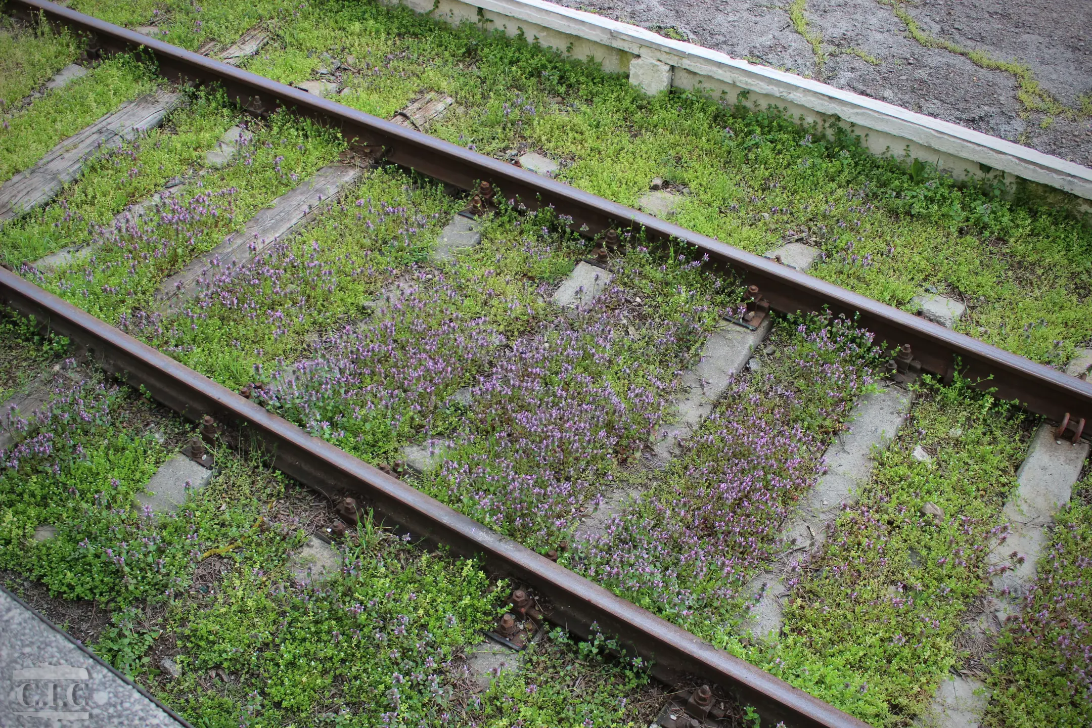 Image 15 of 15