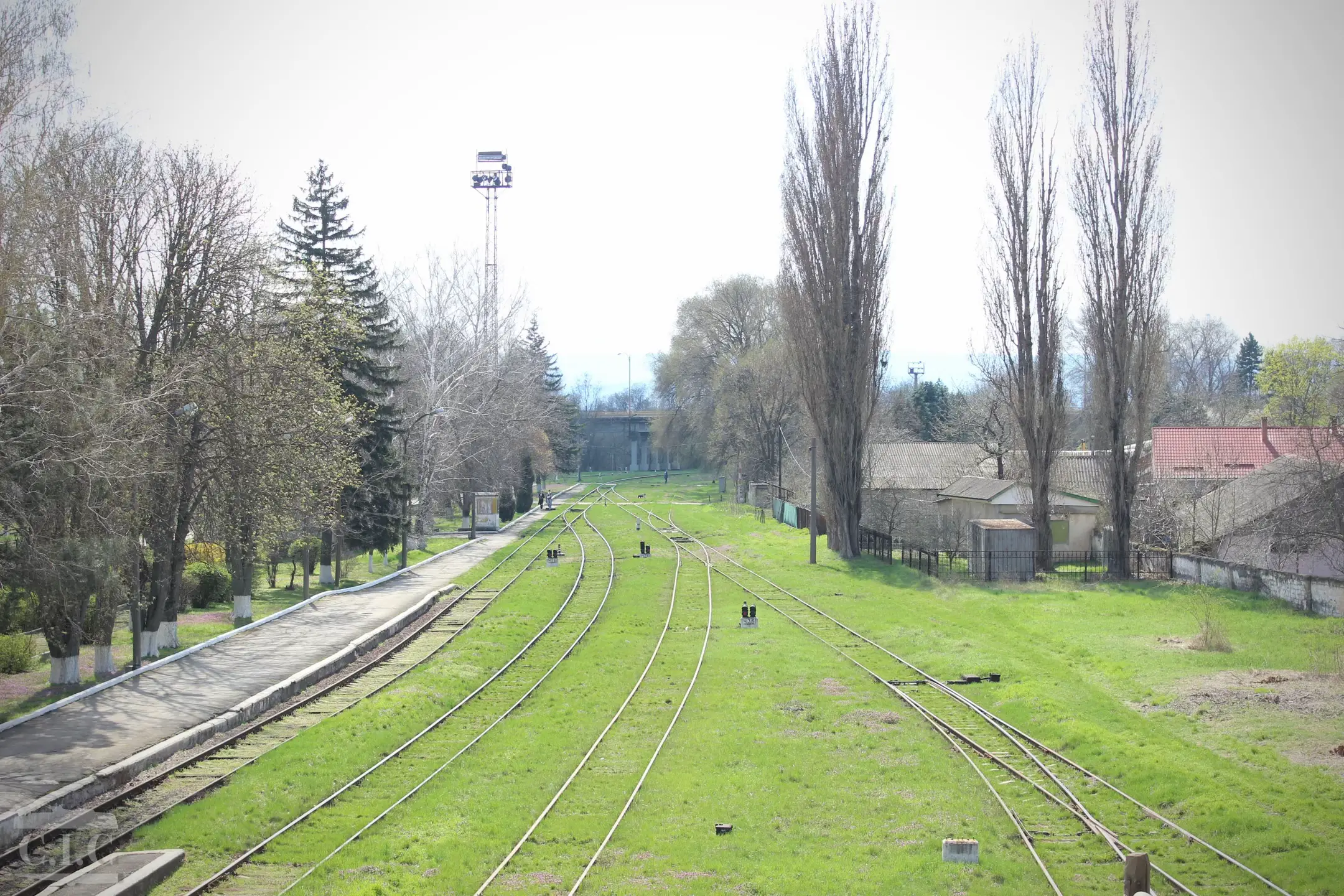 Image 8 of 15