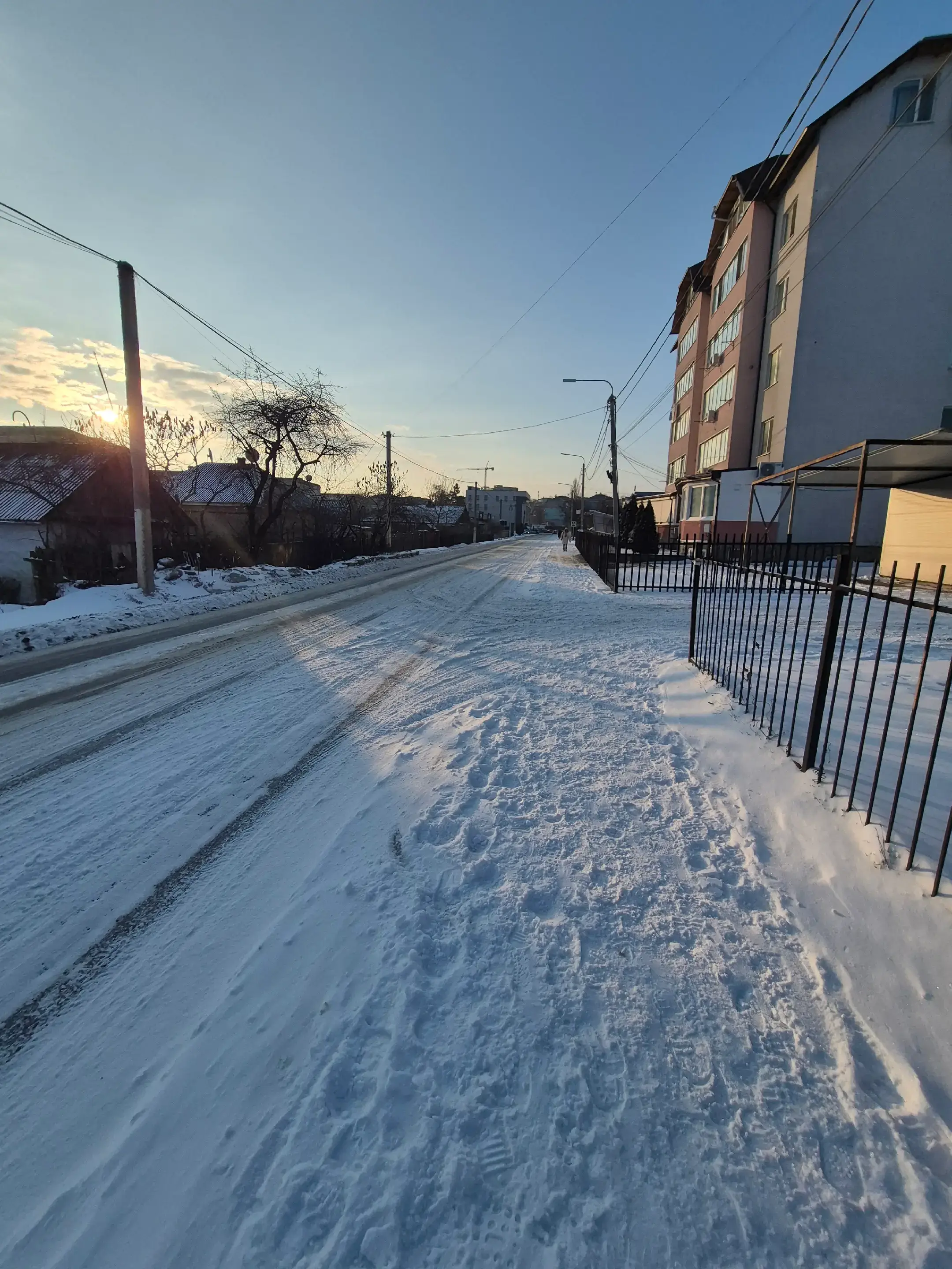 Image 12 of 12