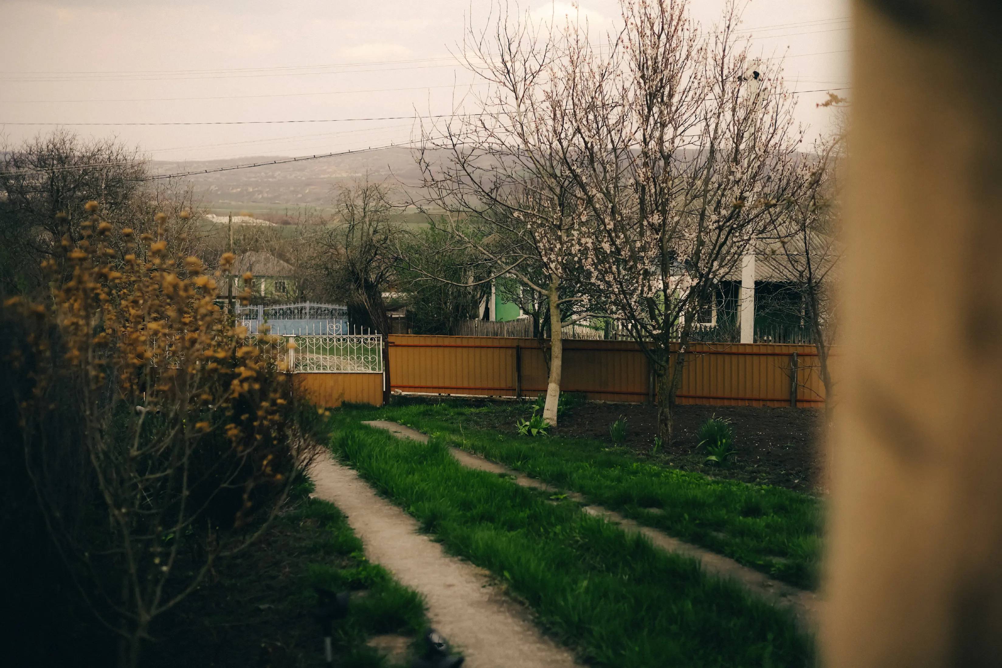 Image 6 of 11