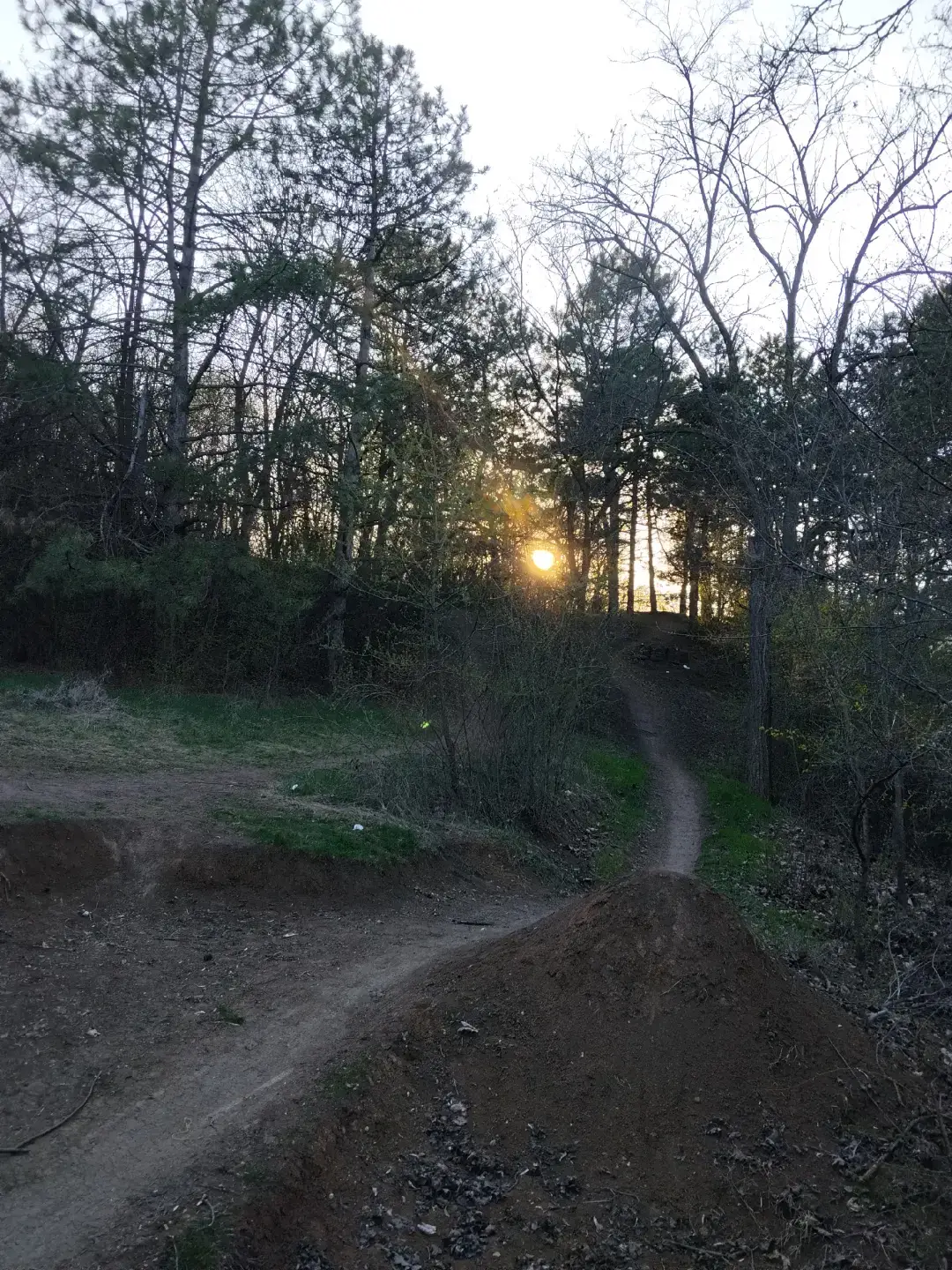 Image 3 of 5