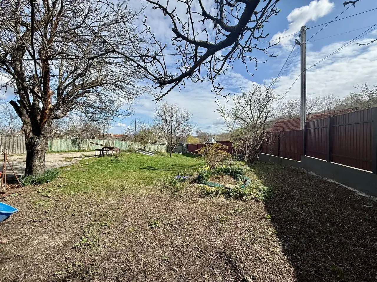 Image 4 of 11