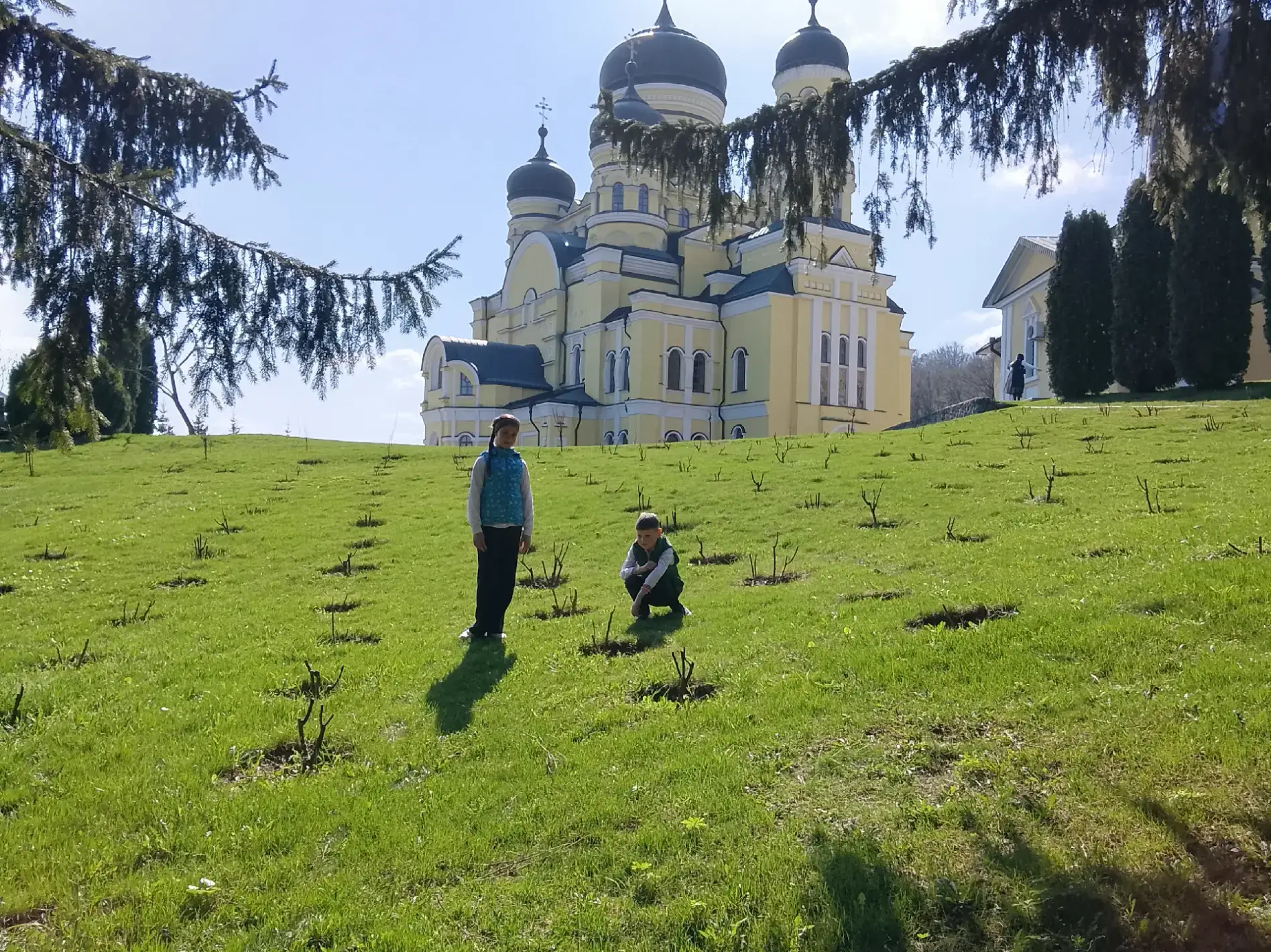 Image 7 of 9