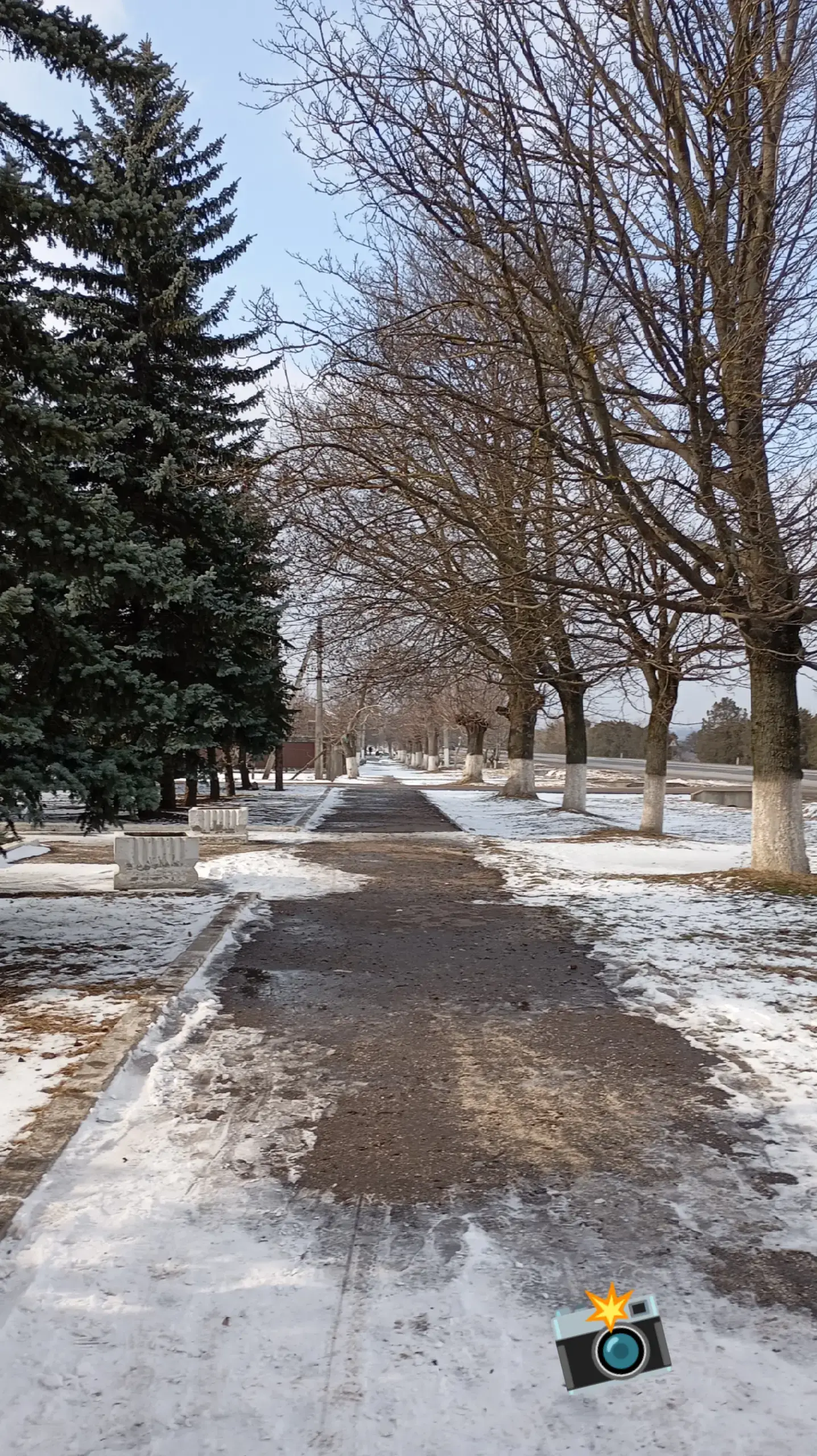 Image 15 of 24