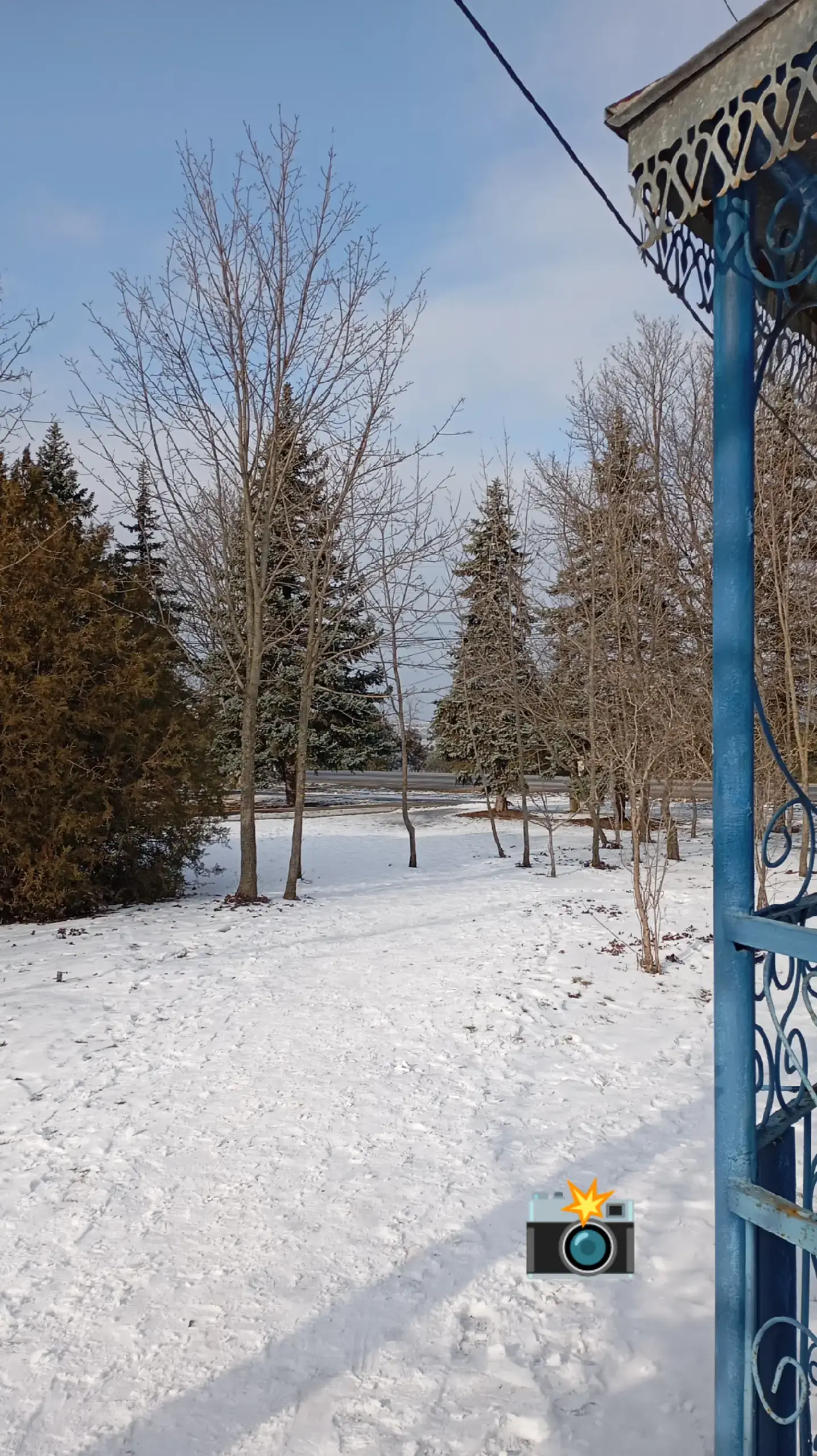 Image 16 of 24