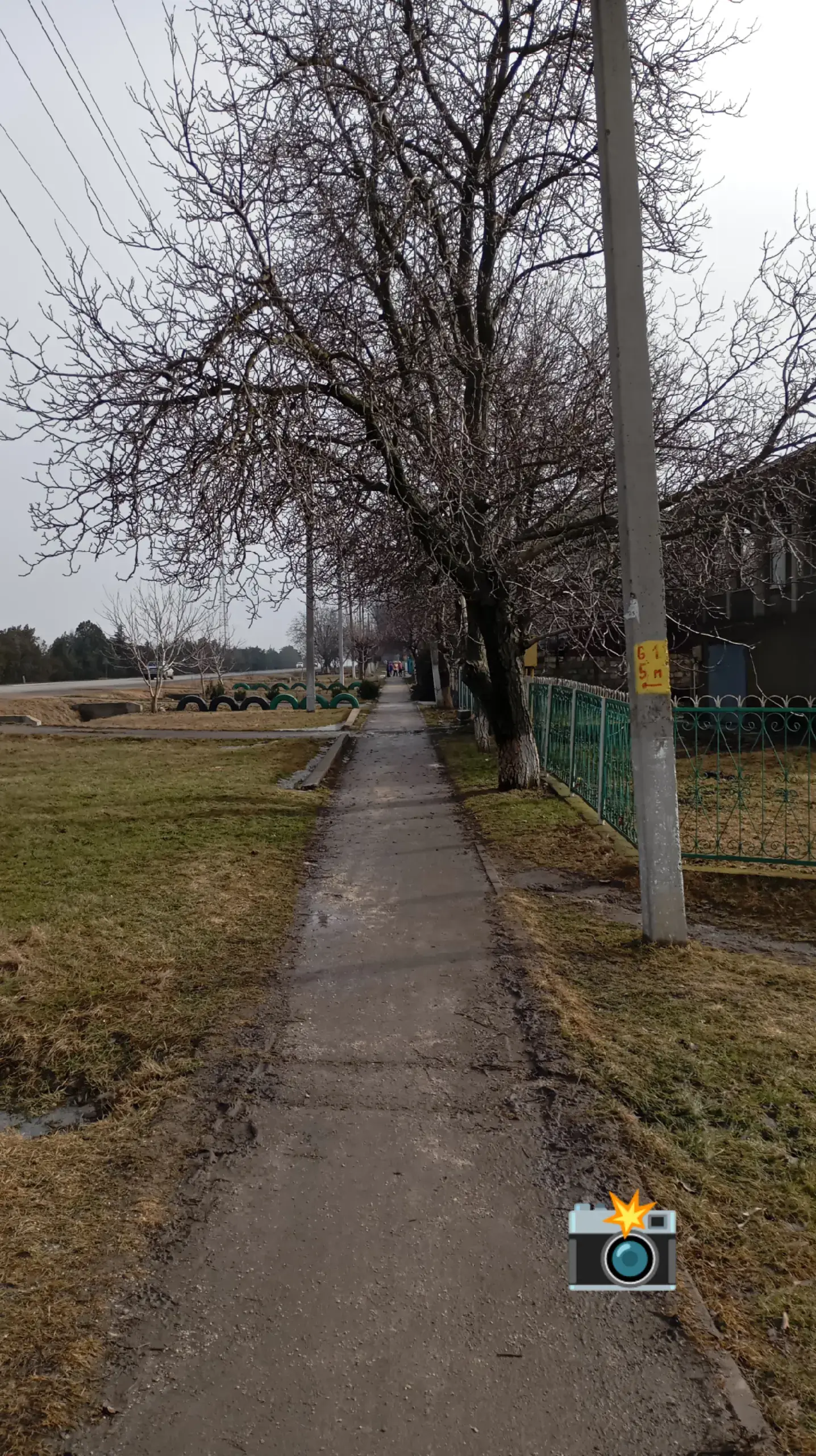 Image 18 of 24