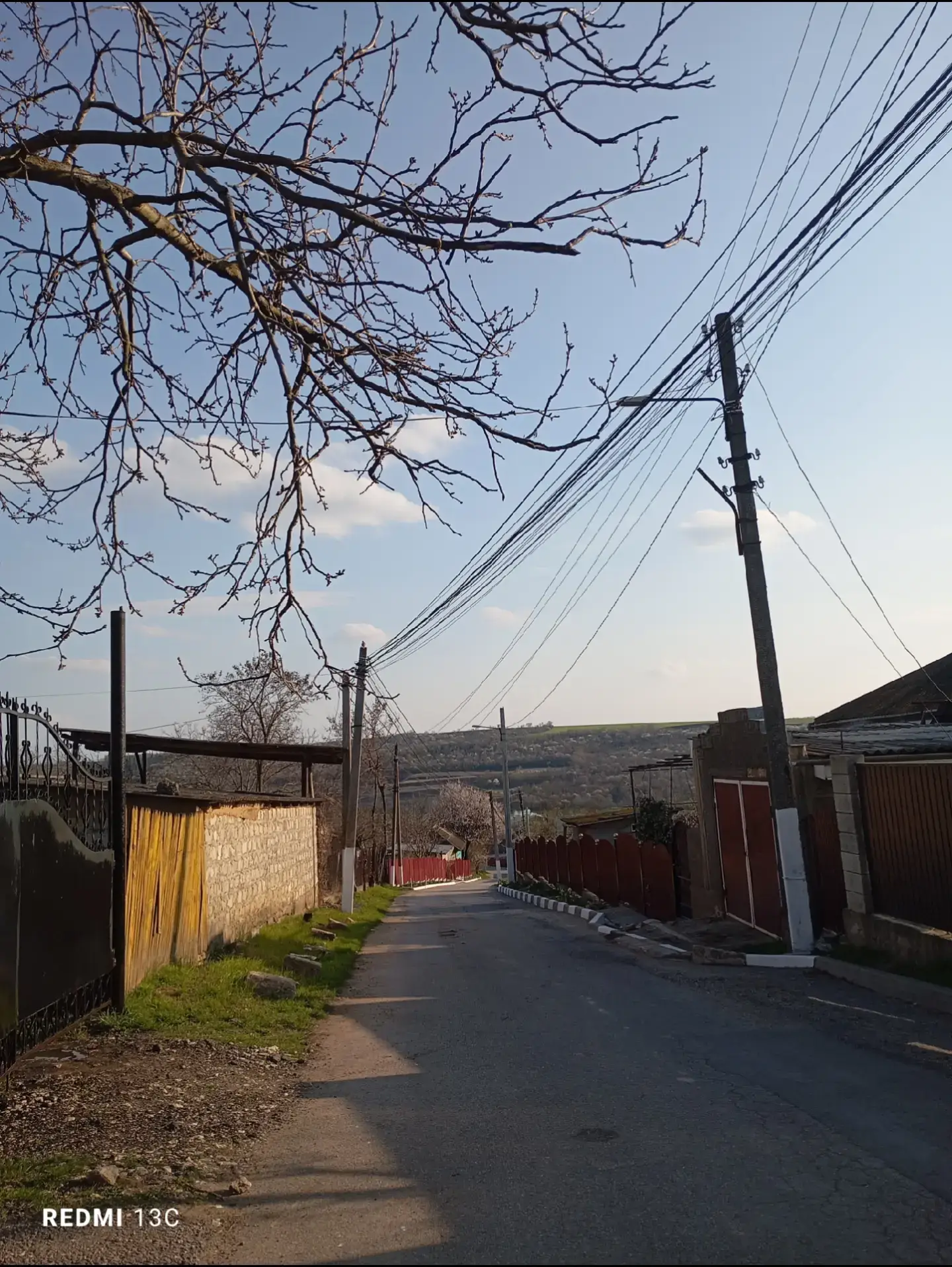Image 7 of 24