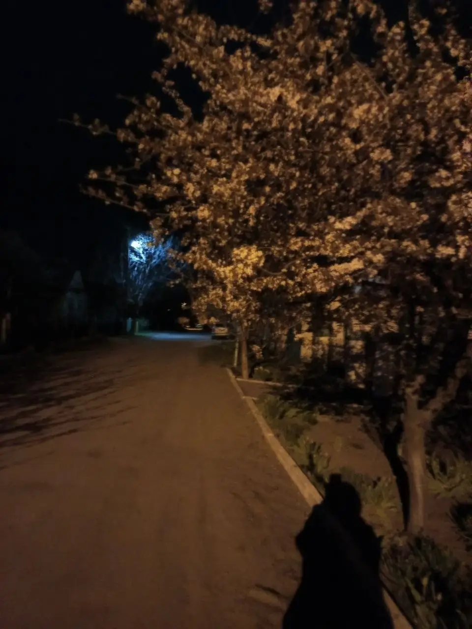 Image 6 of 10