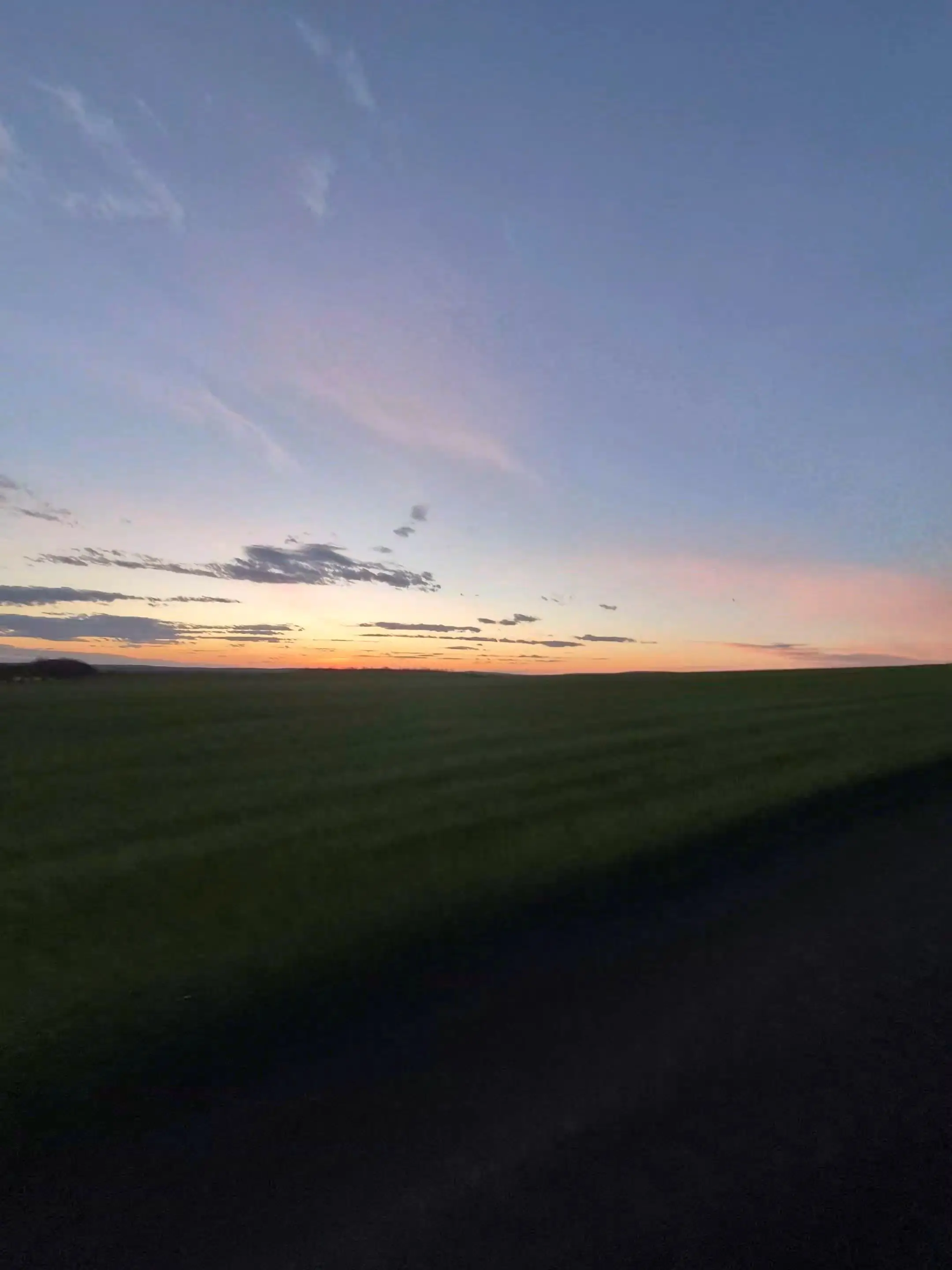 Image 6 of 11