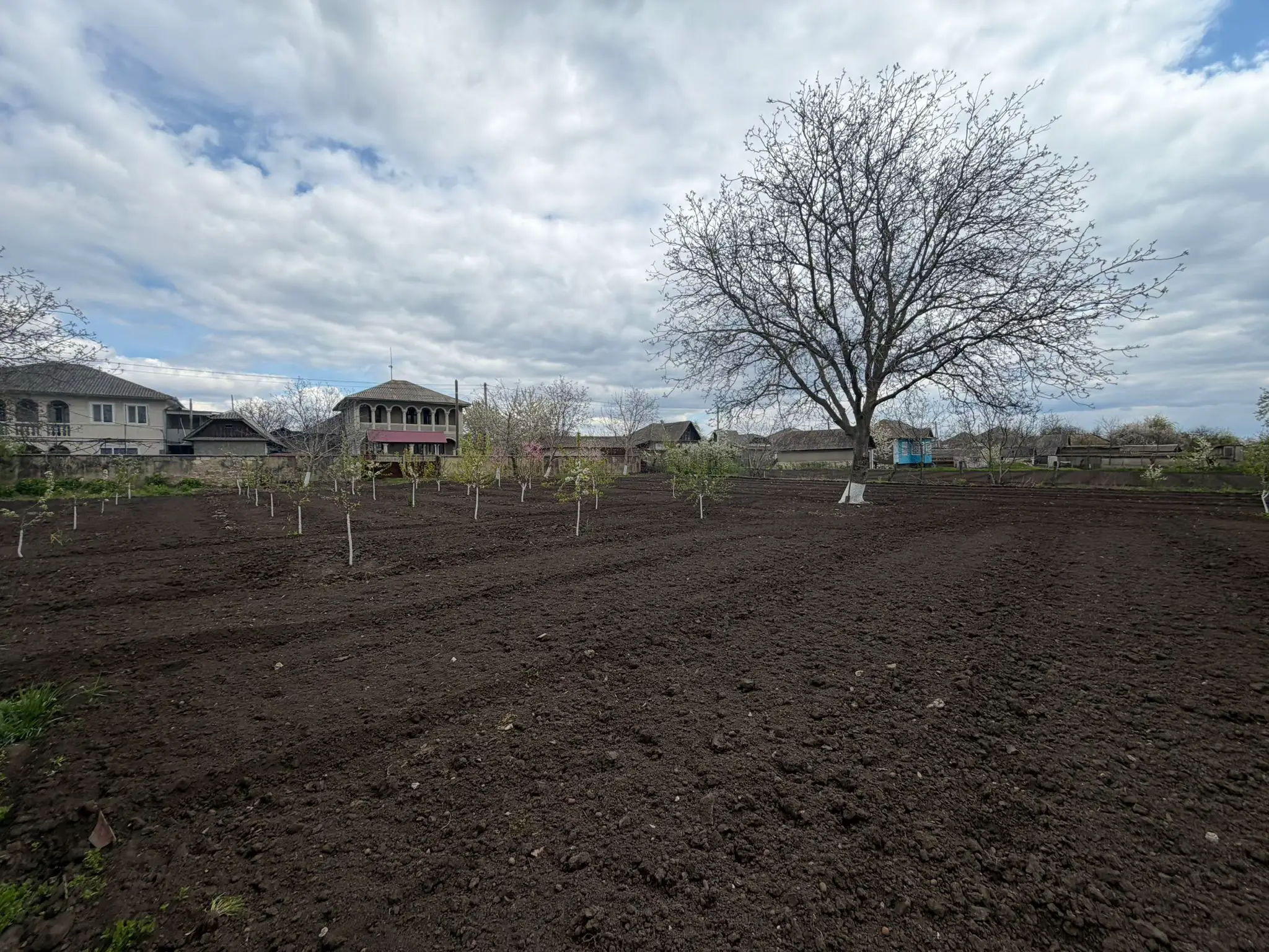 Image 8 of 17