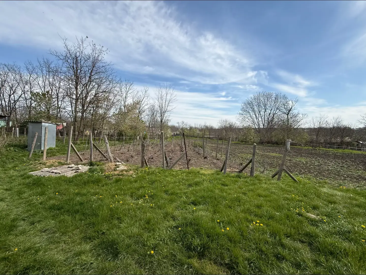 Image 13 of 24
