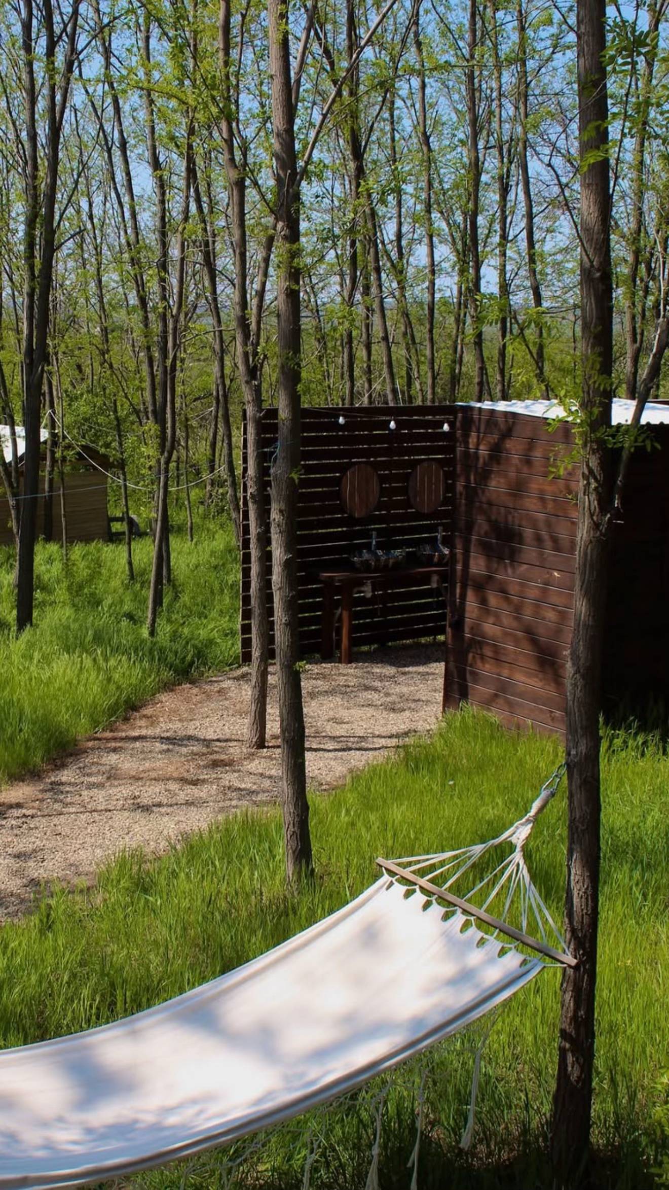 Image 6 of 7