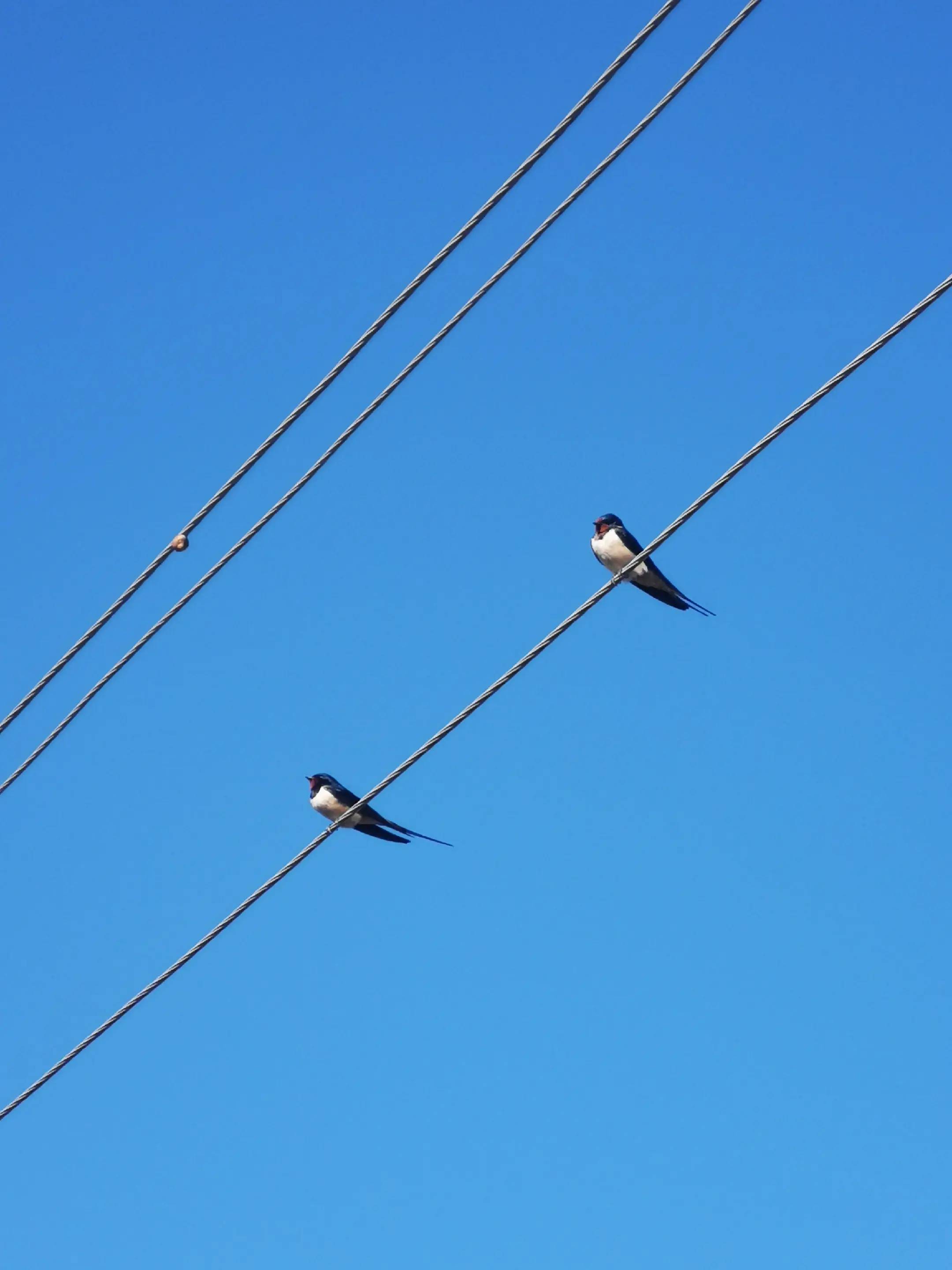Image 10 of 16