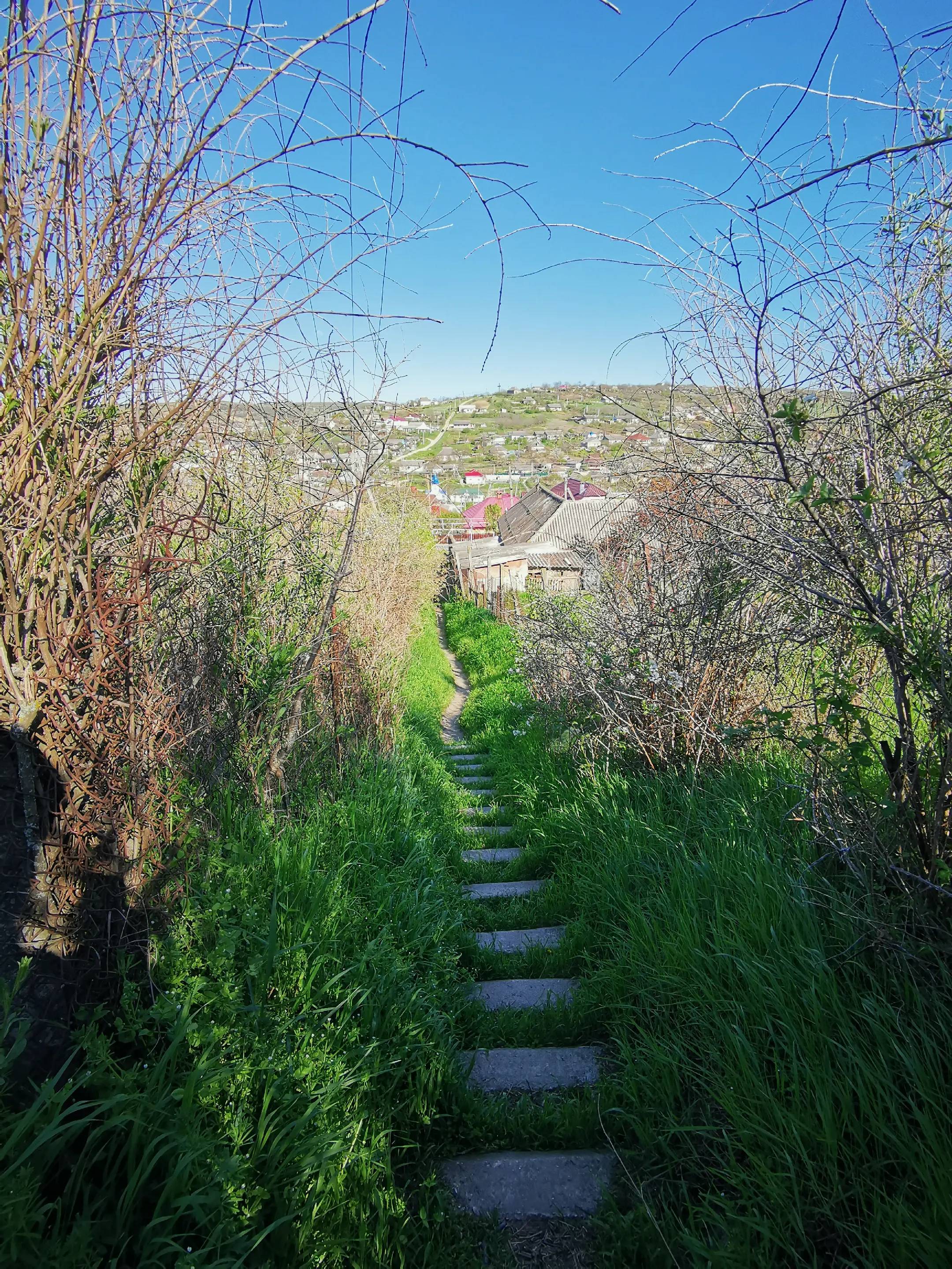 Image 12 of 16