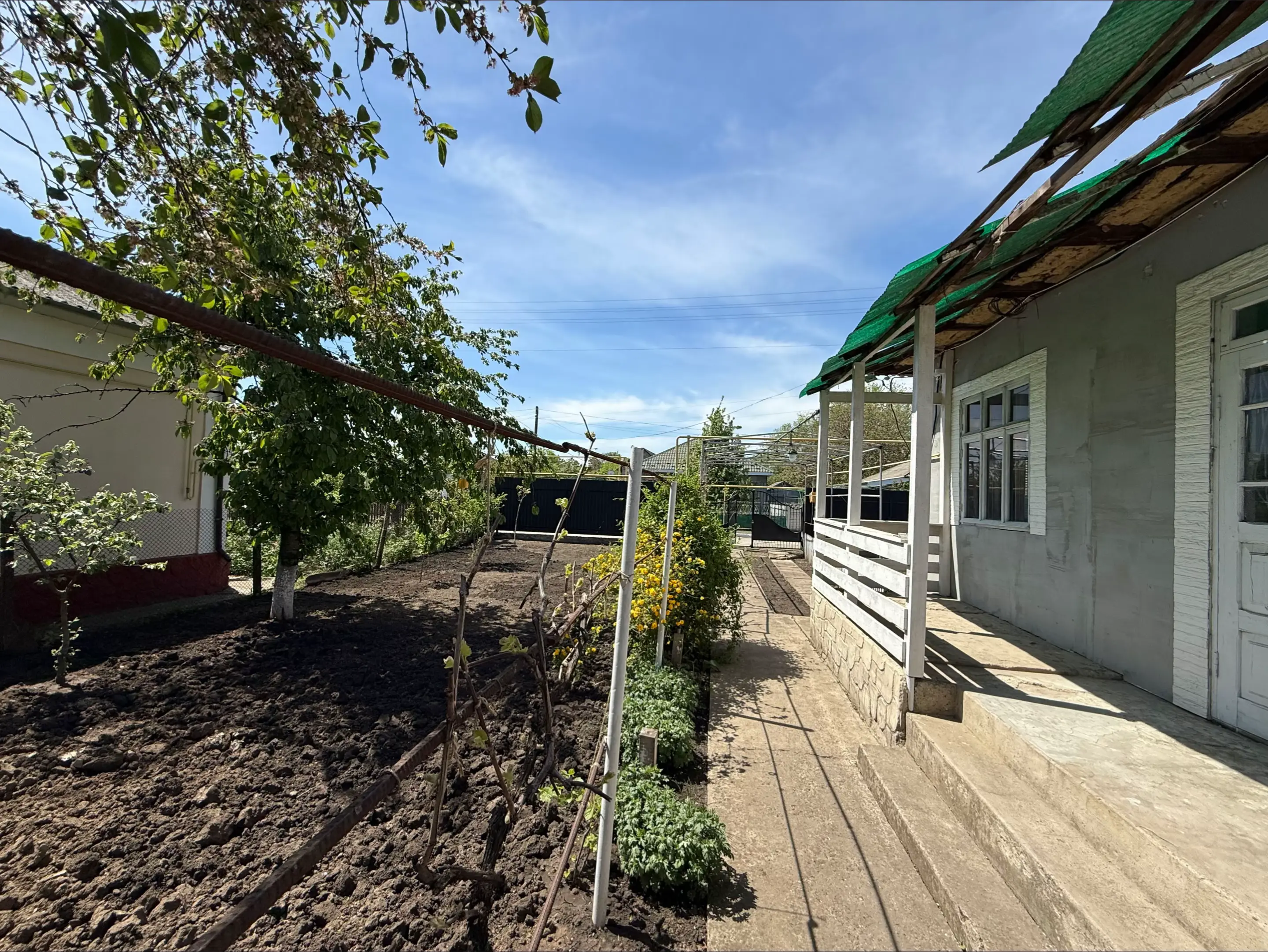 Image 19 of 24
