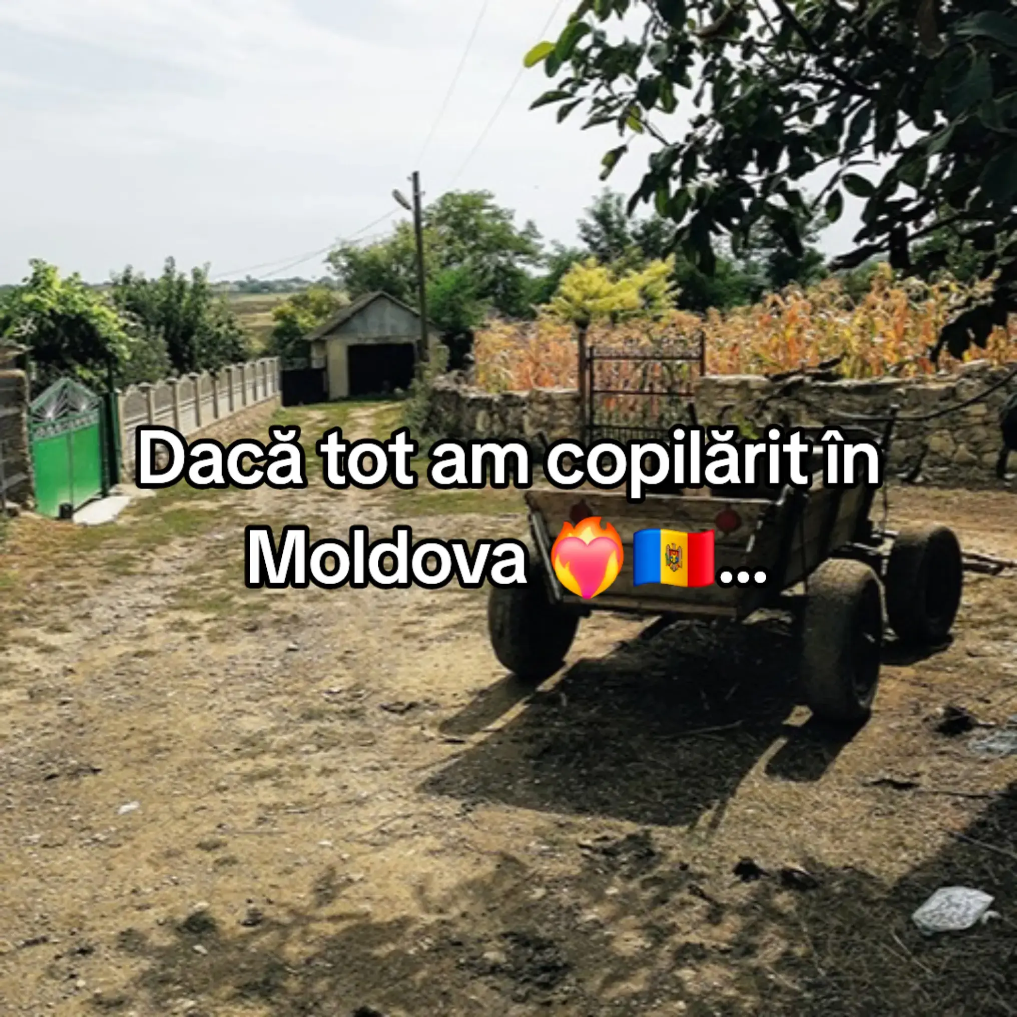 Image 1 of 21