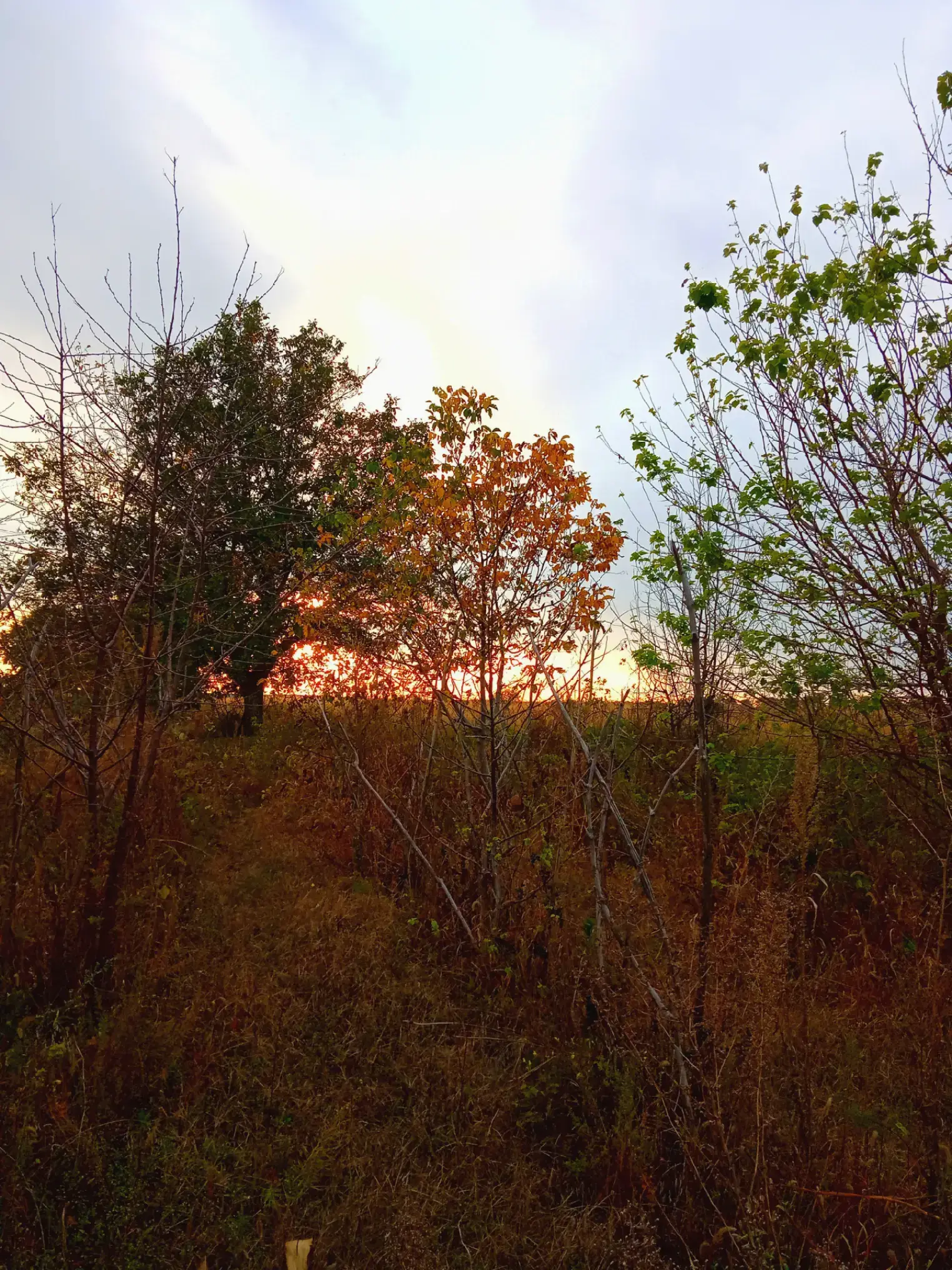 Image 21 of 21
