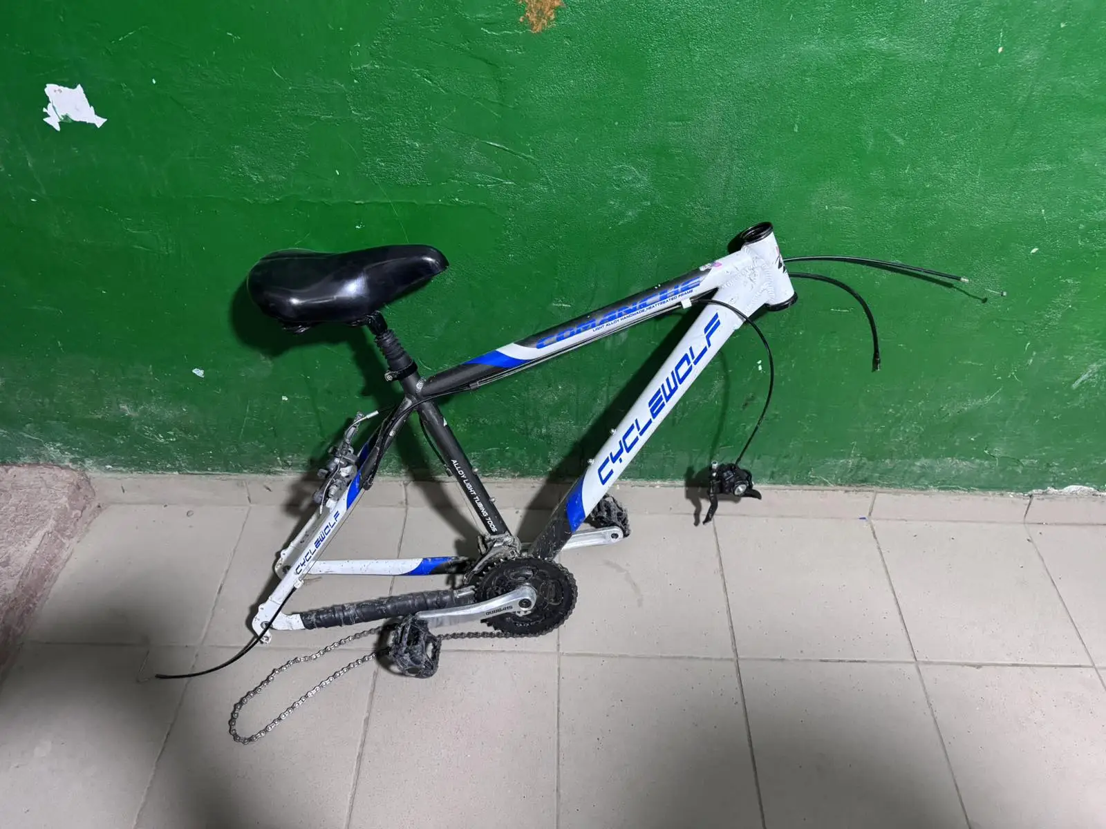 Image 11 of 22