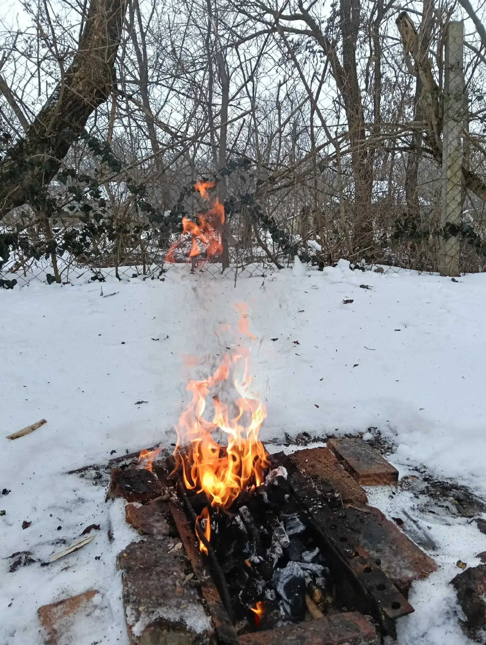 Image 18 of 22