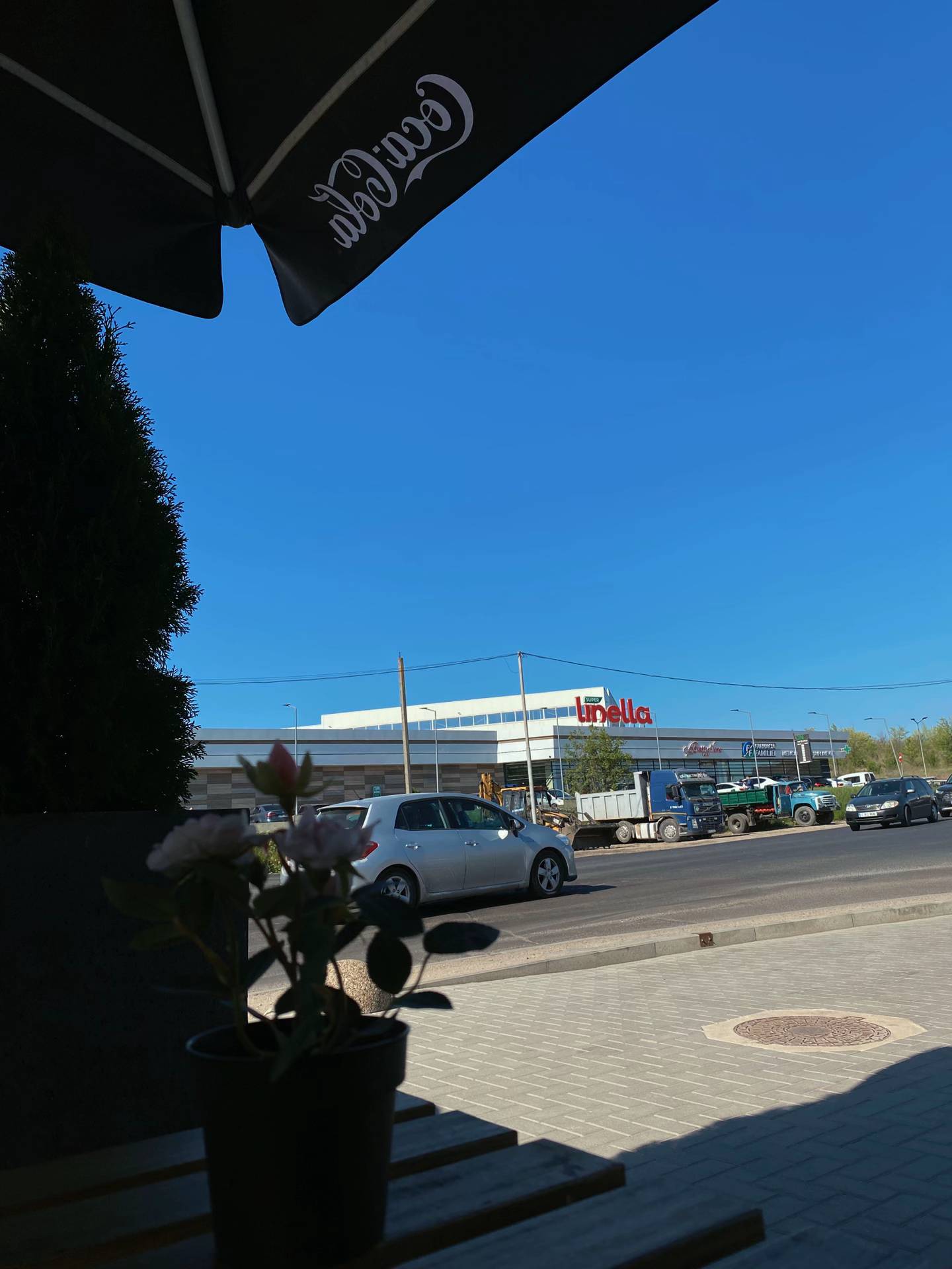 Image 5 of 12