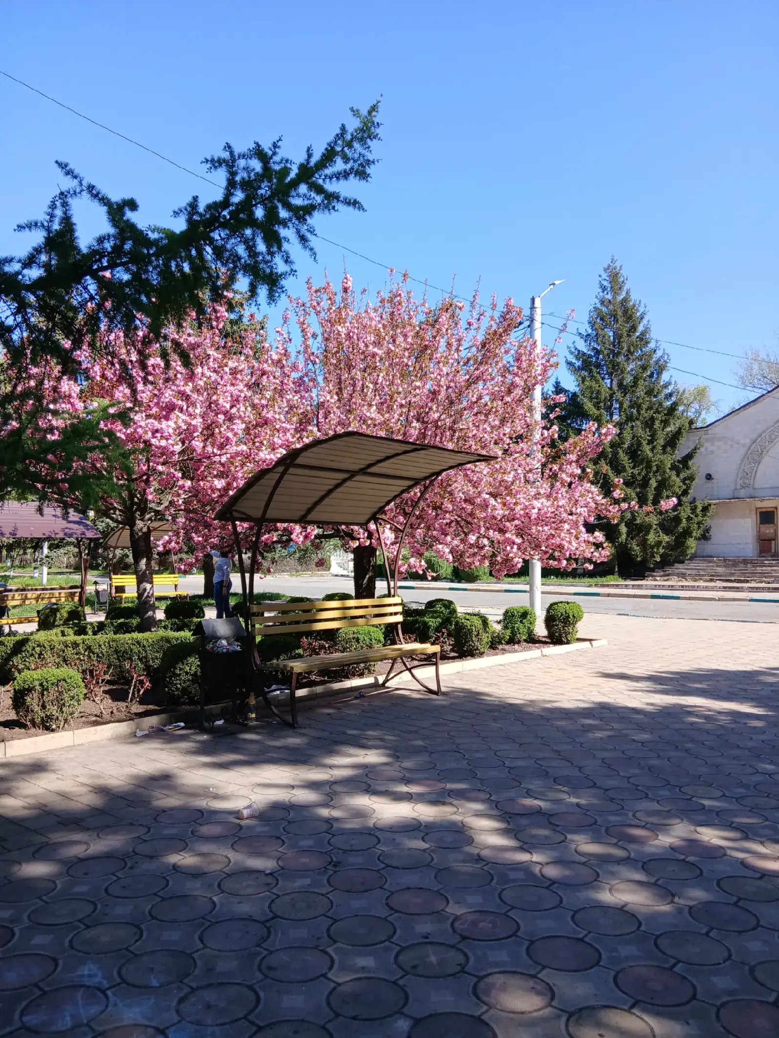 Image 13 of 15