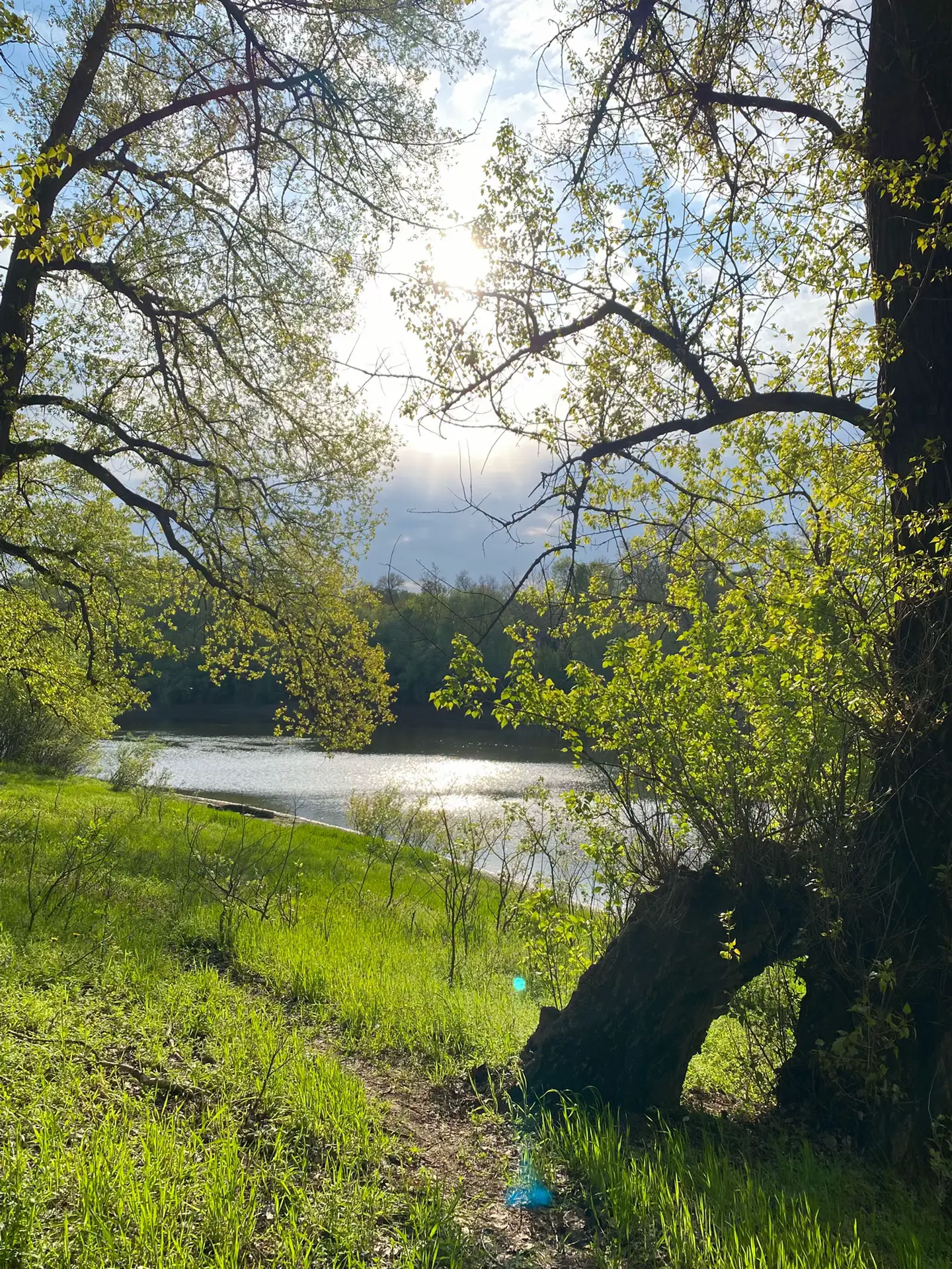 Image 10 of 12