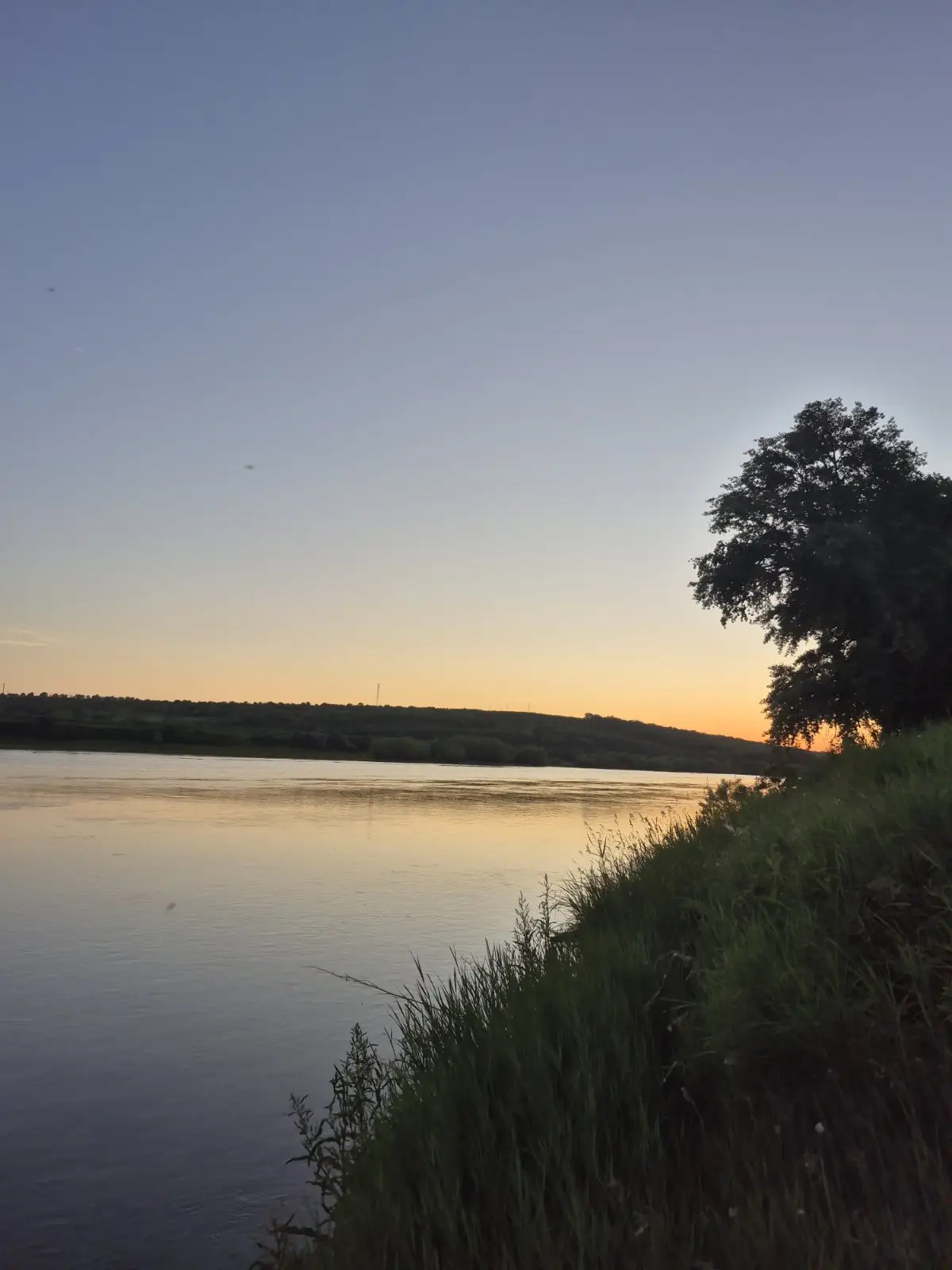 Image 6 of 16