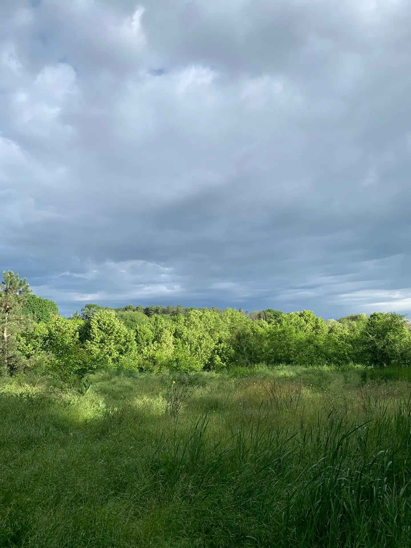 Image 5 of 15