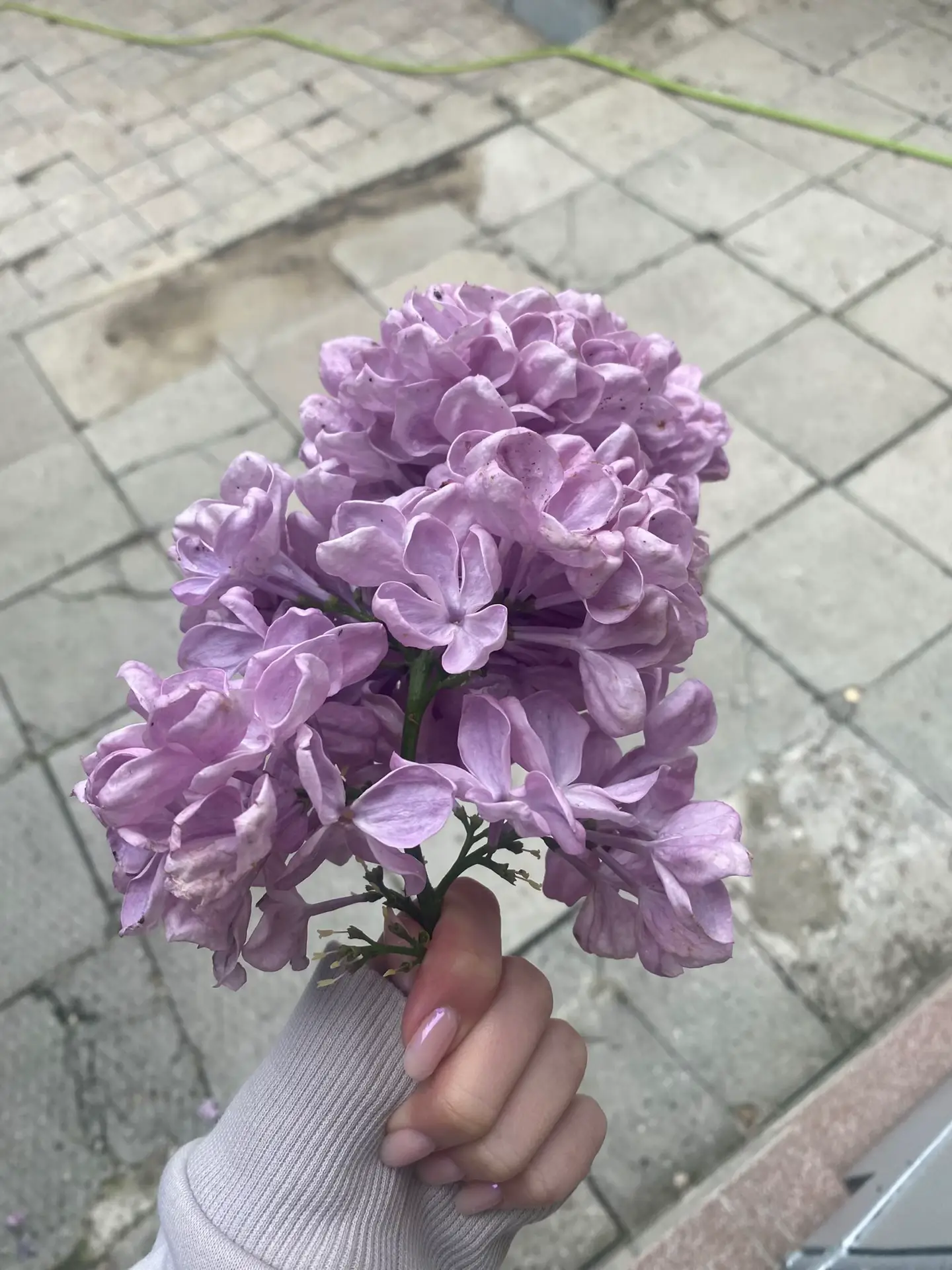 Image 11 of 20