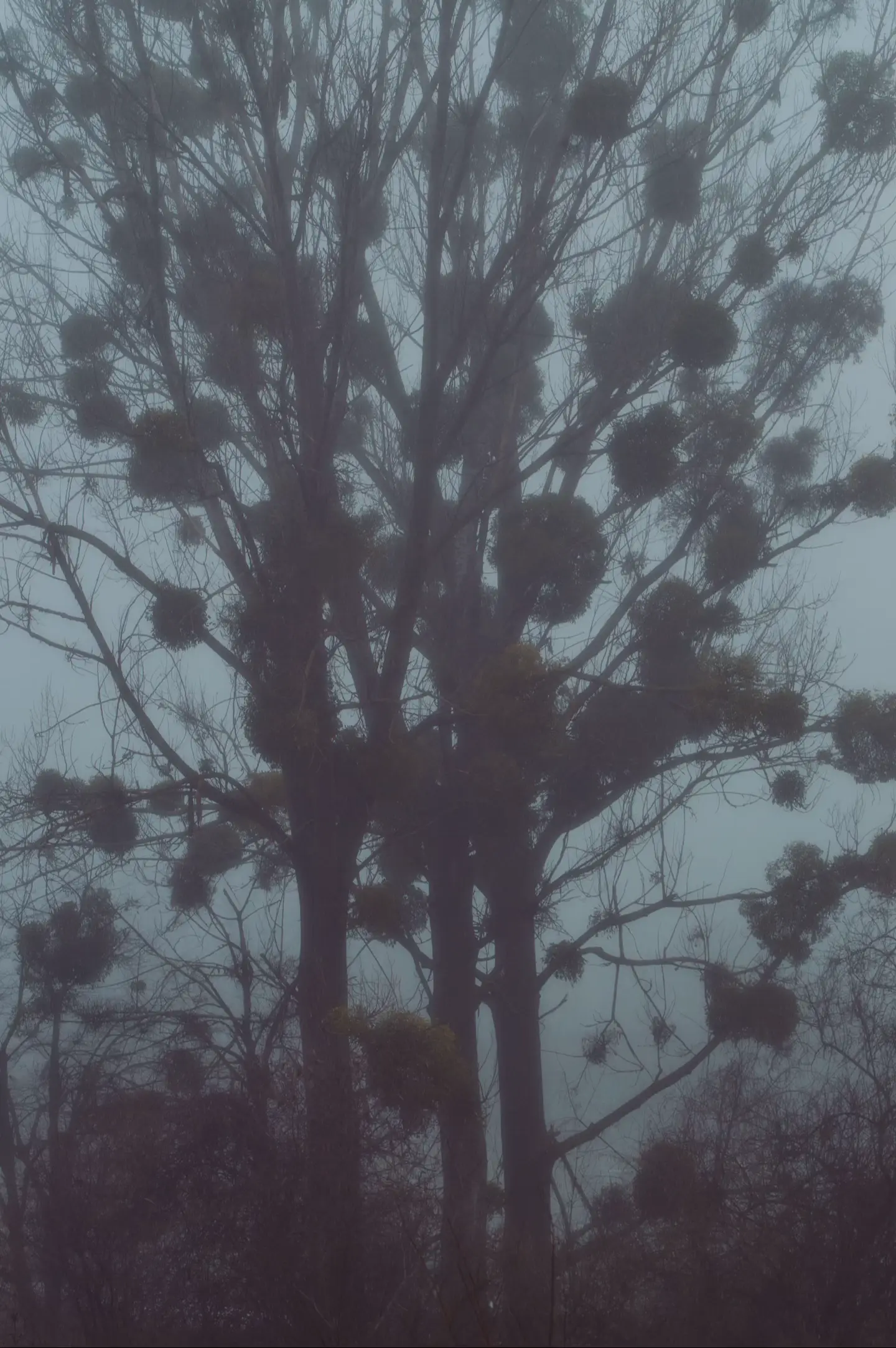 Image 4 of 20