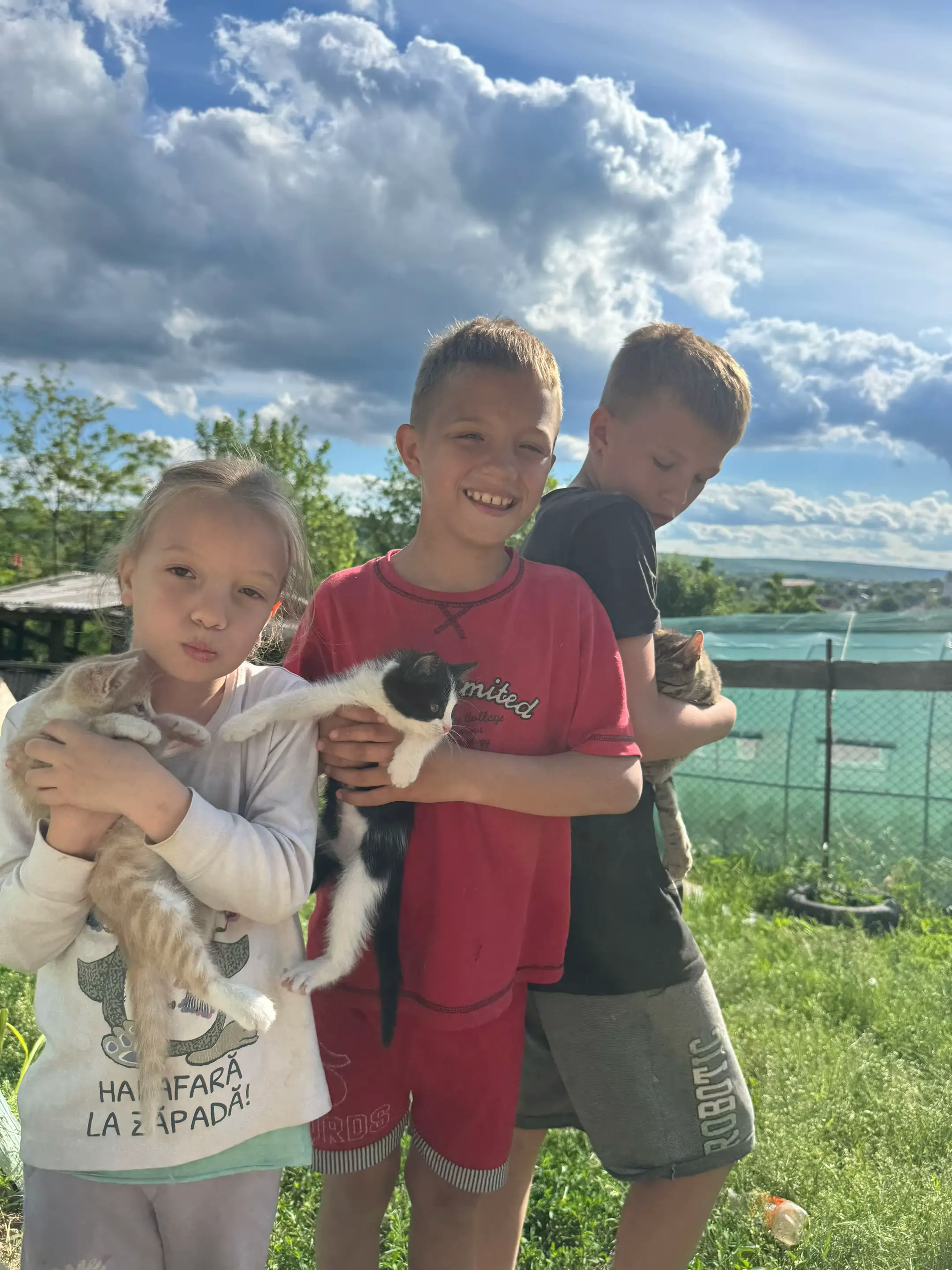 Image 10 of 10