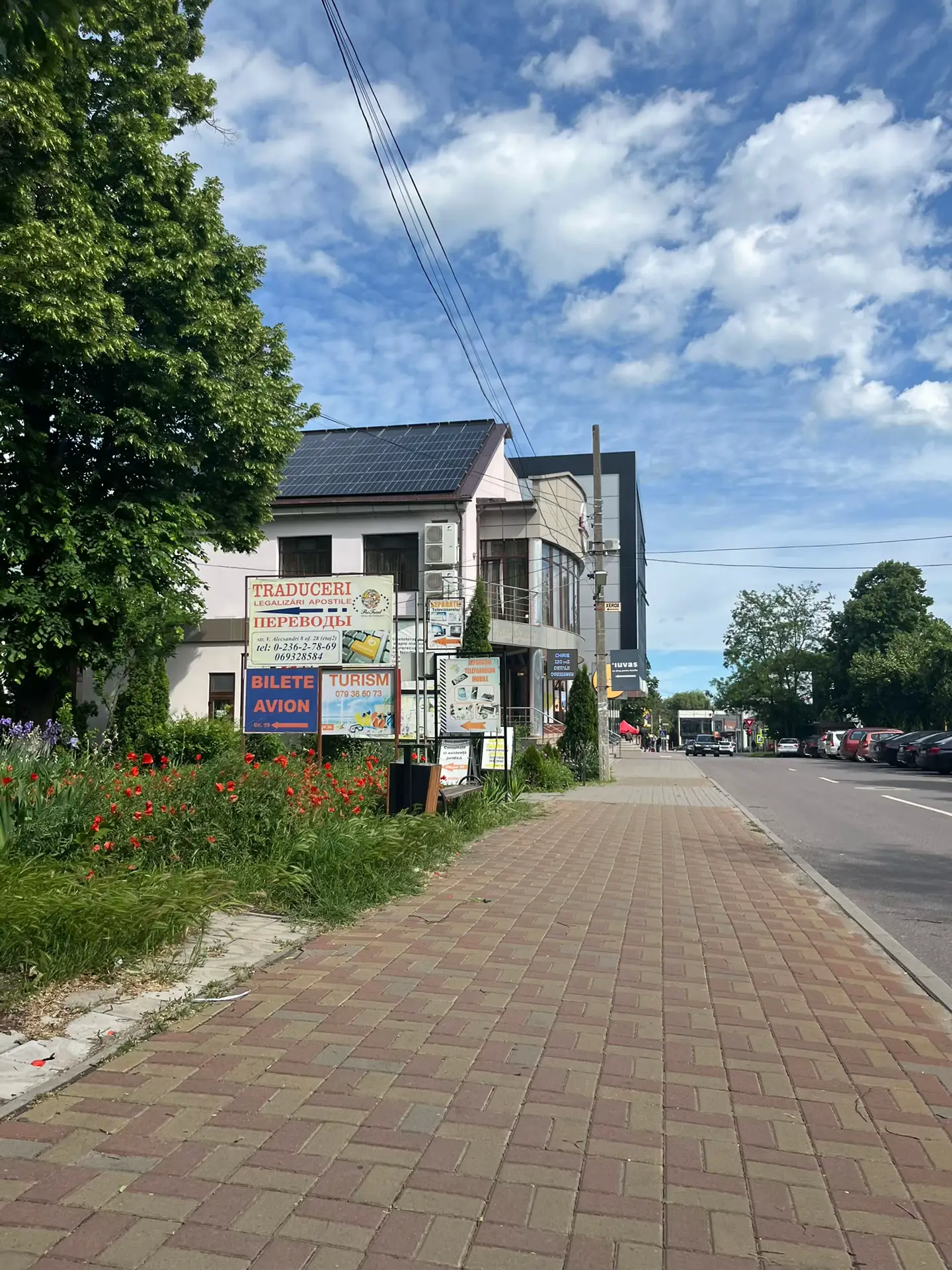 Image 10 of 21