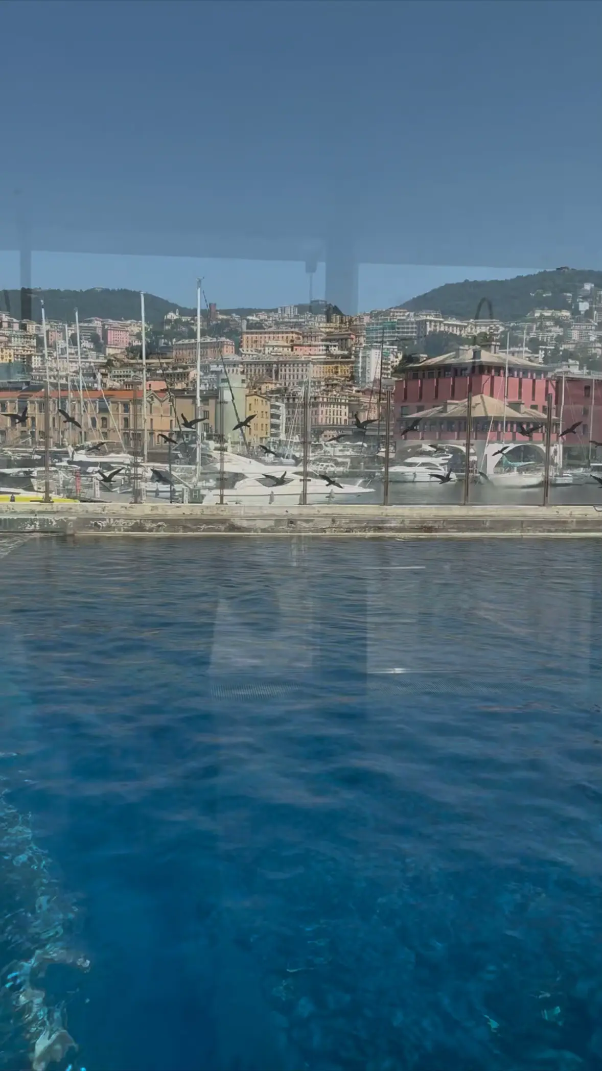 Image 2 of 8