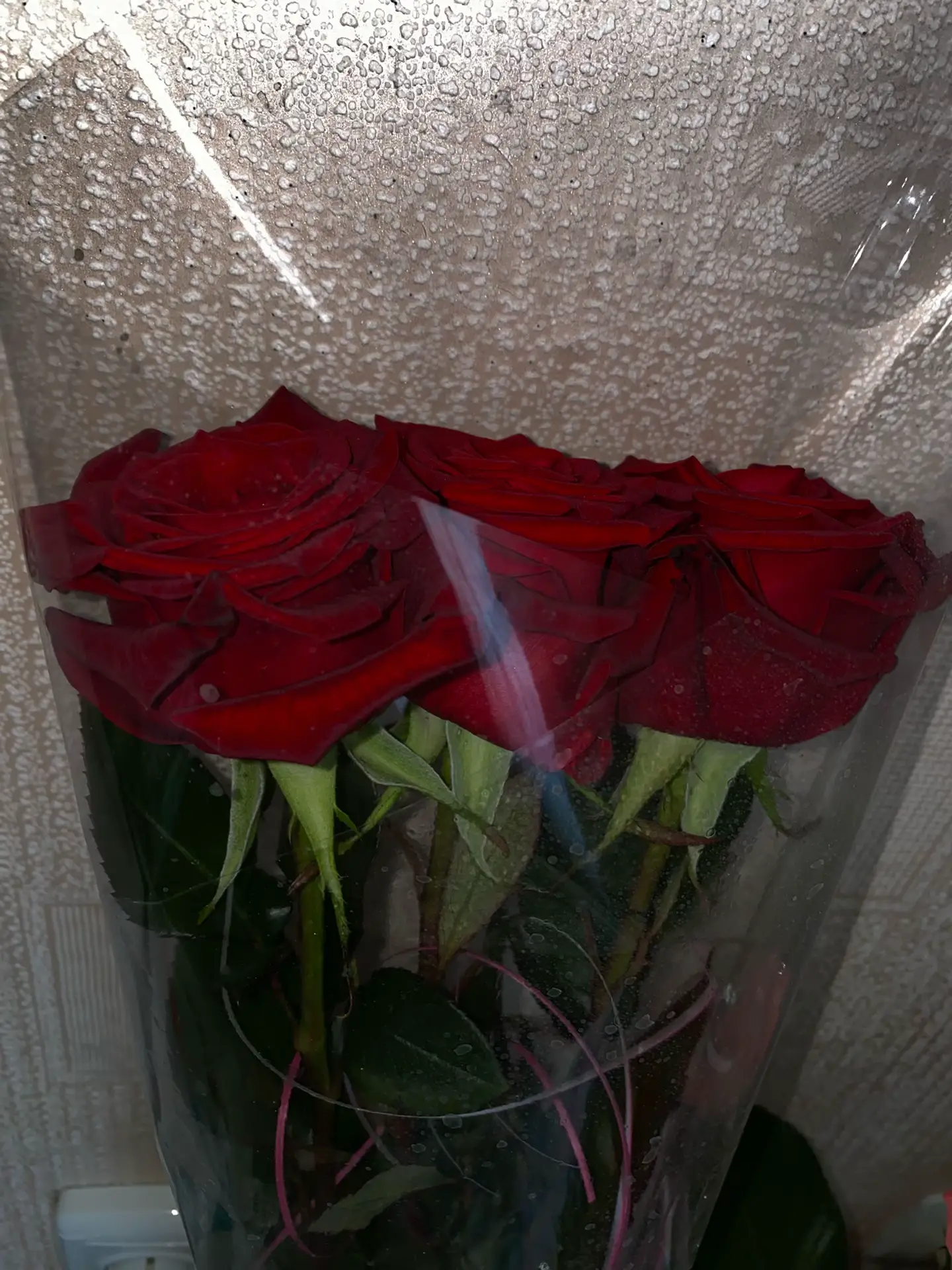 Image 21 of 24