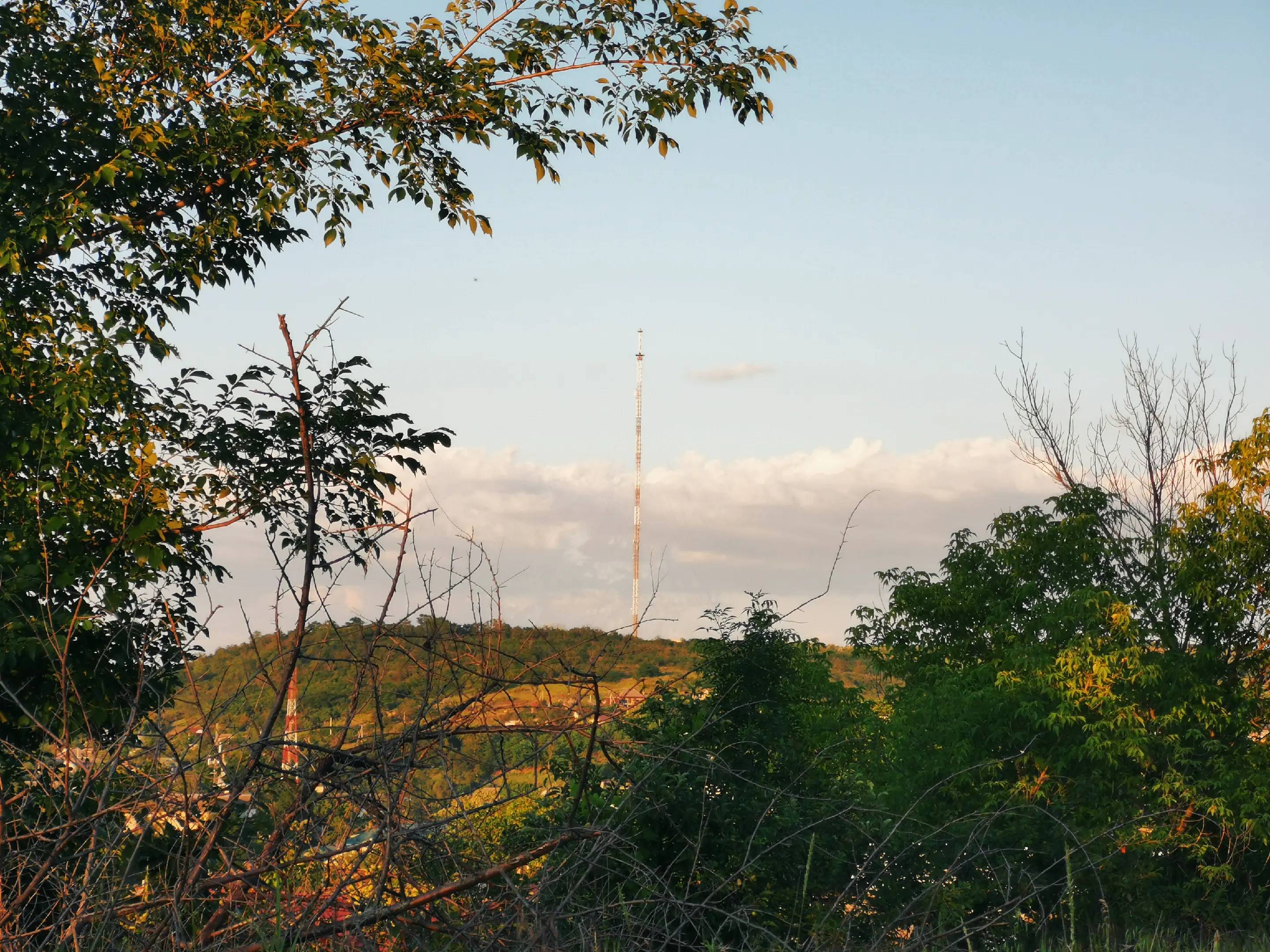 Image 7 of 11