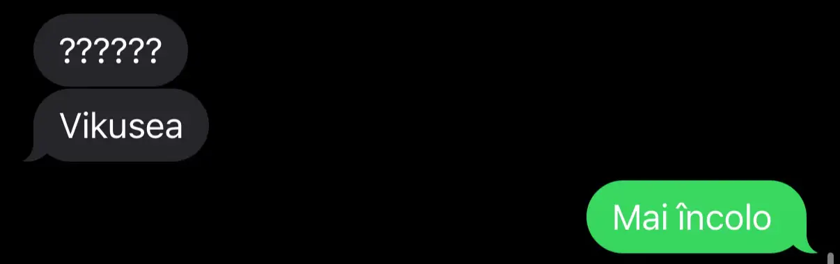 Image 8 of 13