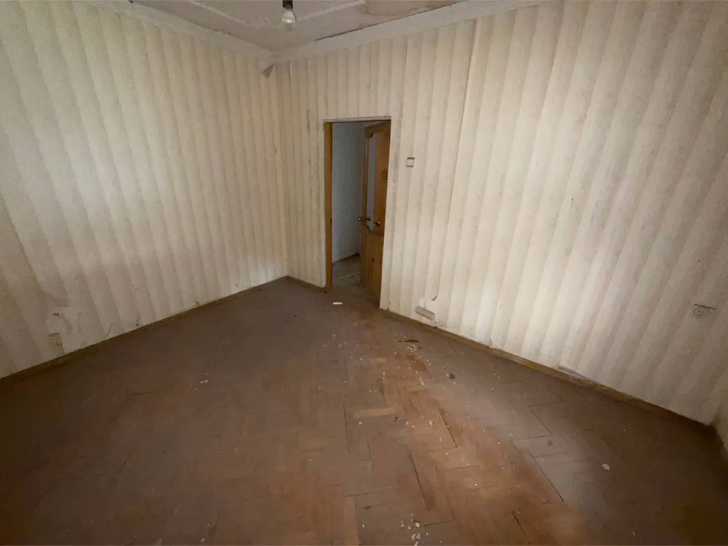 Image 12 of 12