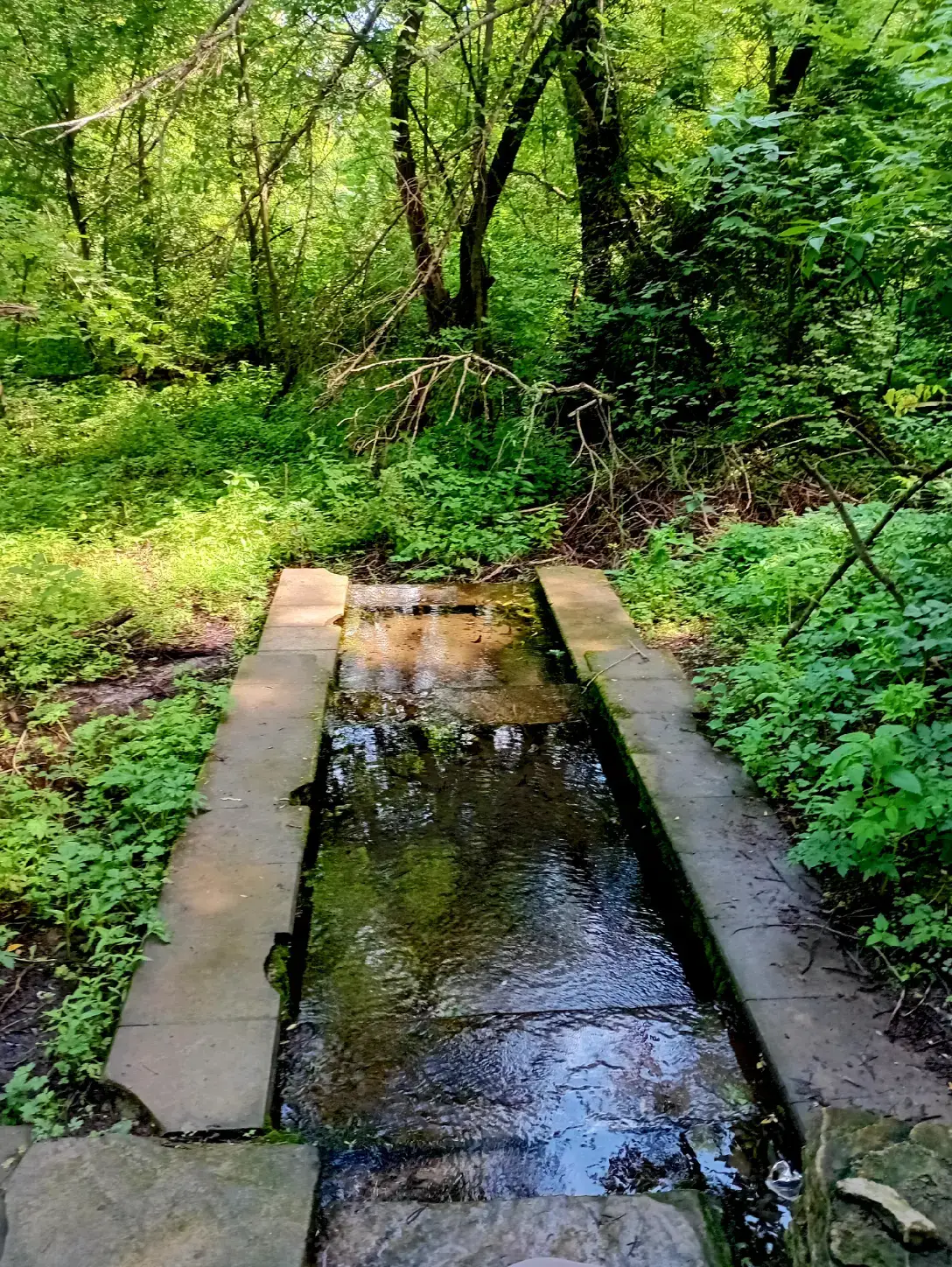 Image 5 of 9