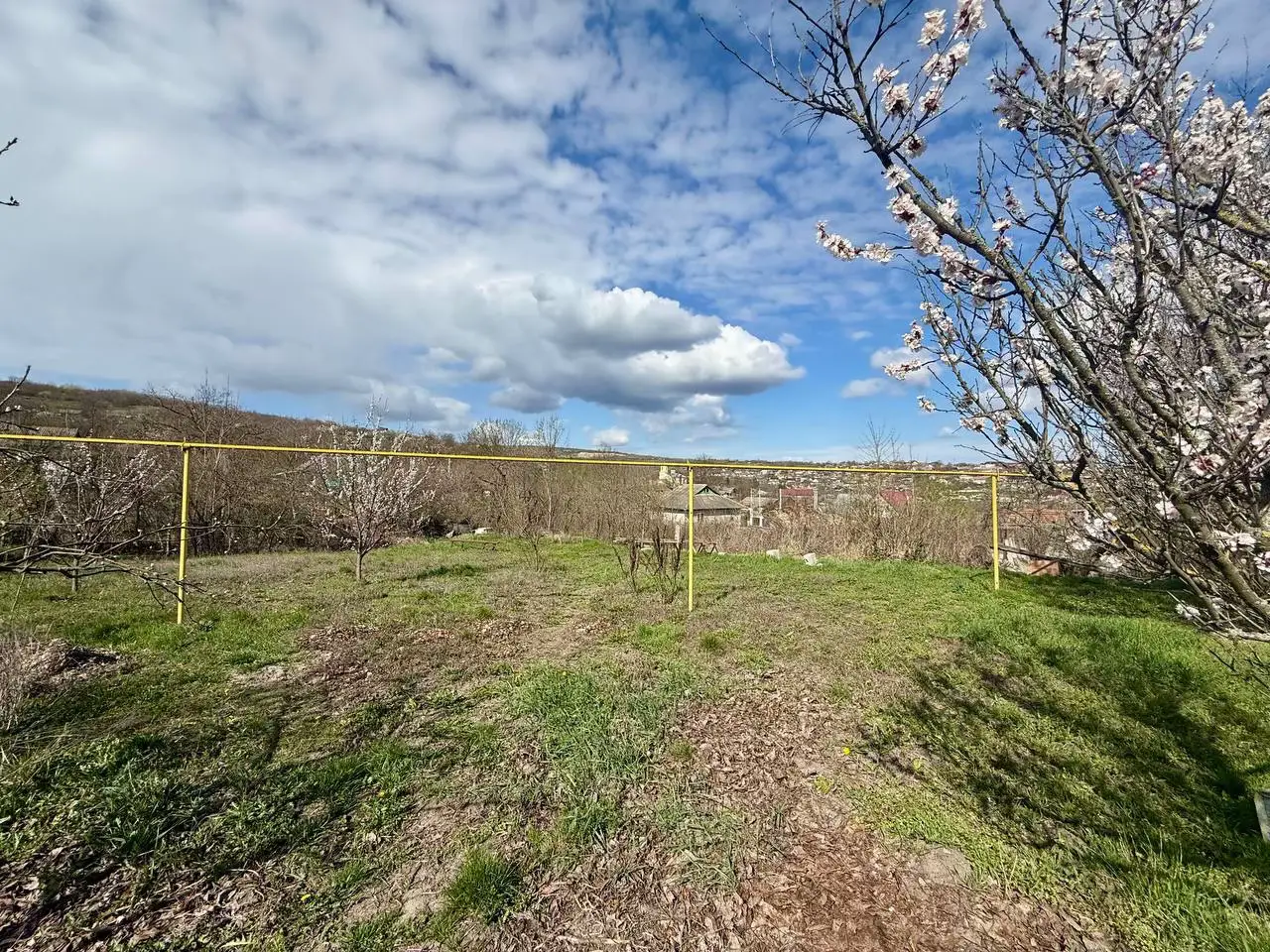 Image 11 of 11