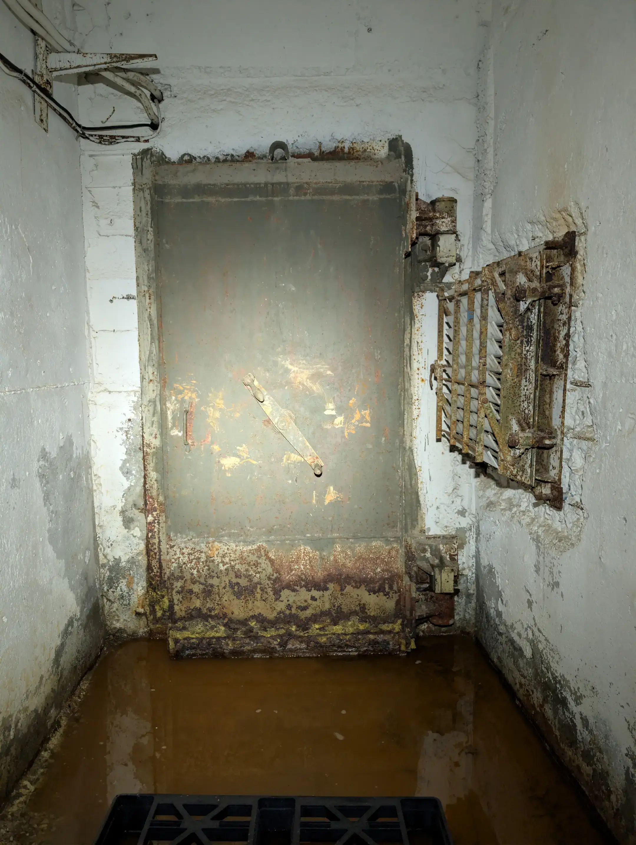 Image 15 of 15