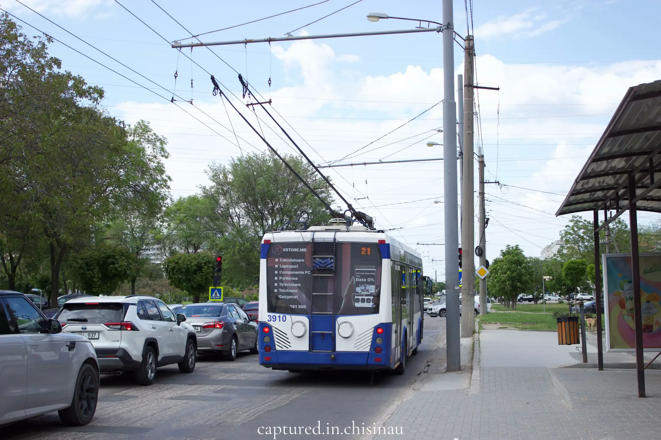Image 11 of 11