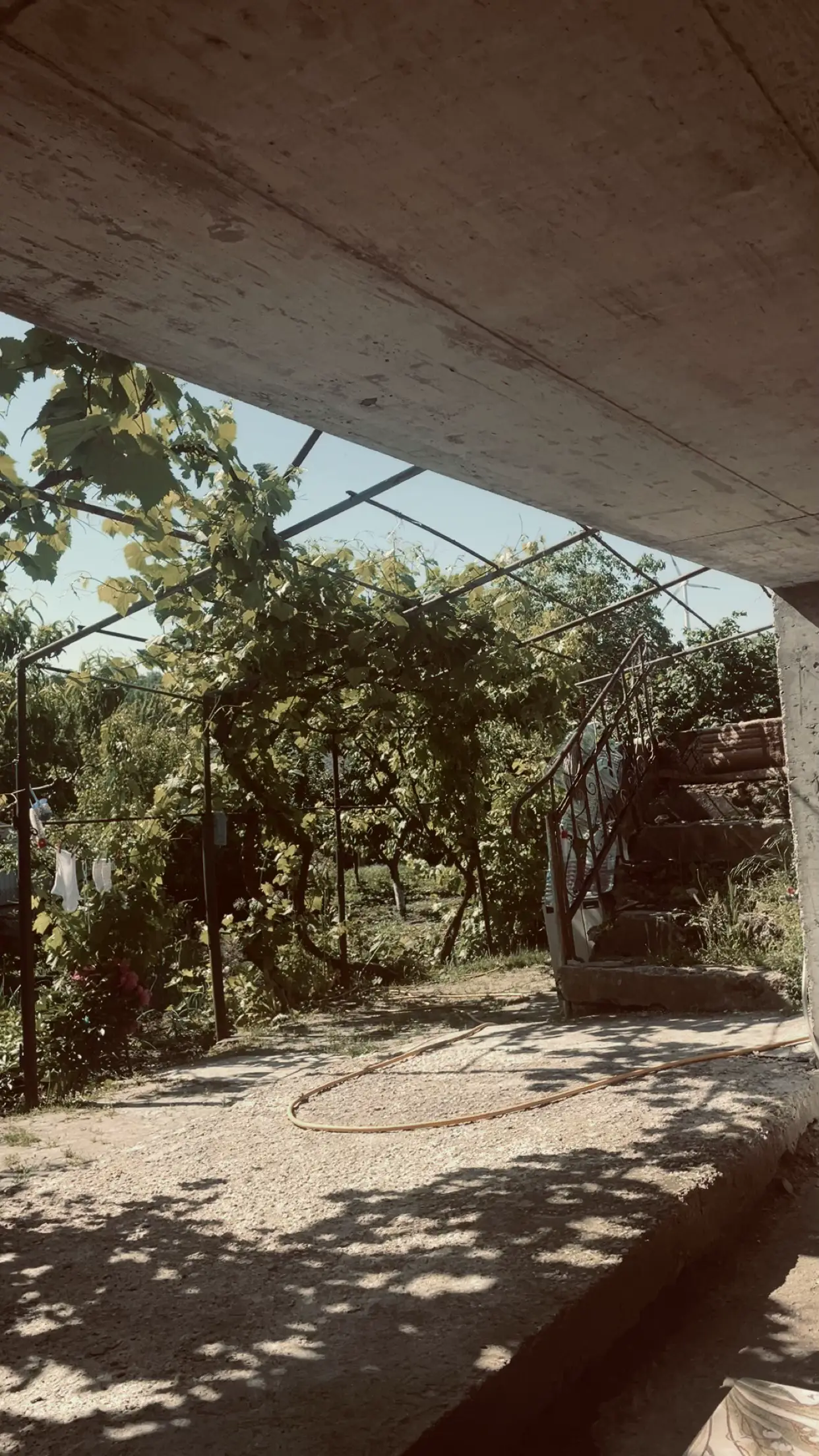 Image 10 of 11