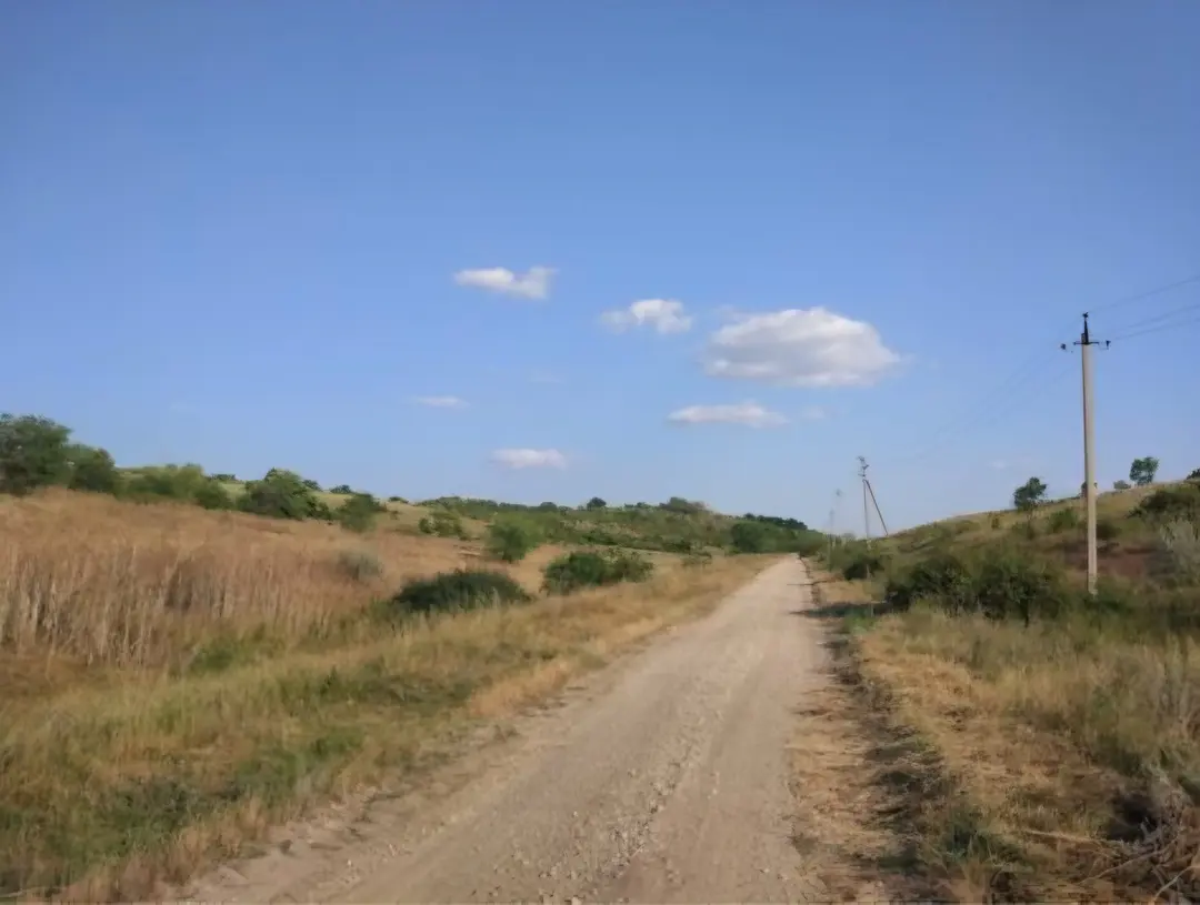 Image 10 of 10