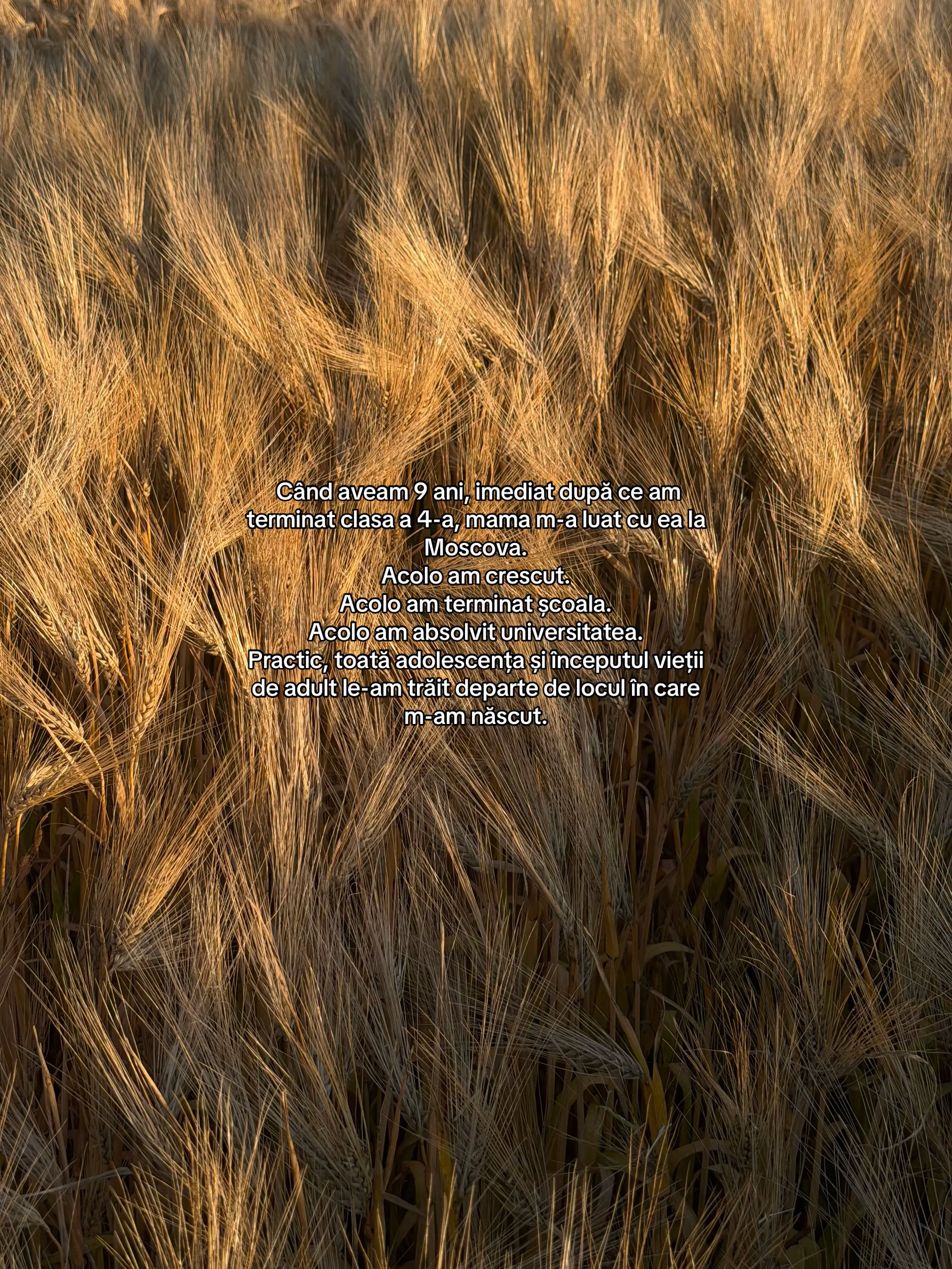 Image 2 of 9