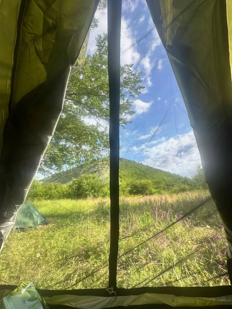Image 10 of 11