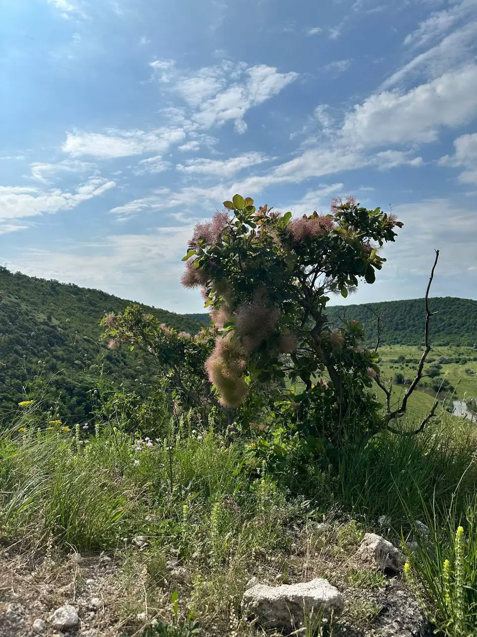 Image 8 of 11