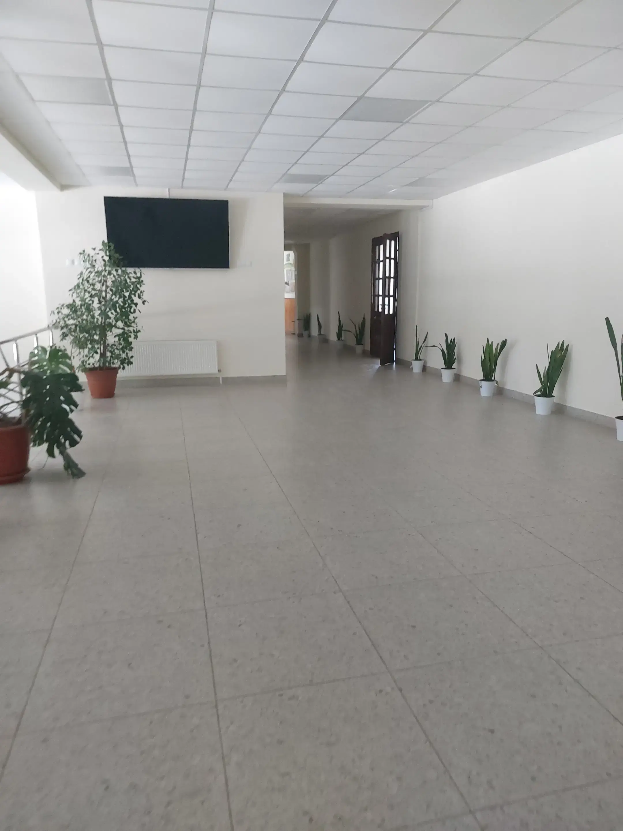 Image 6 of 8