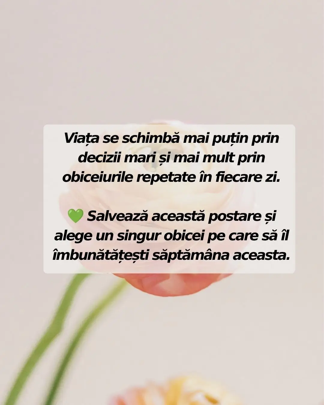Image 11 of 11