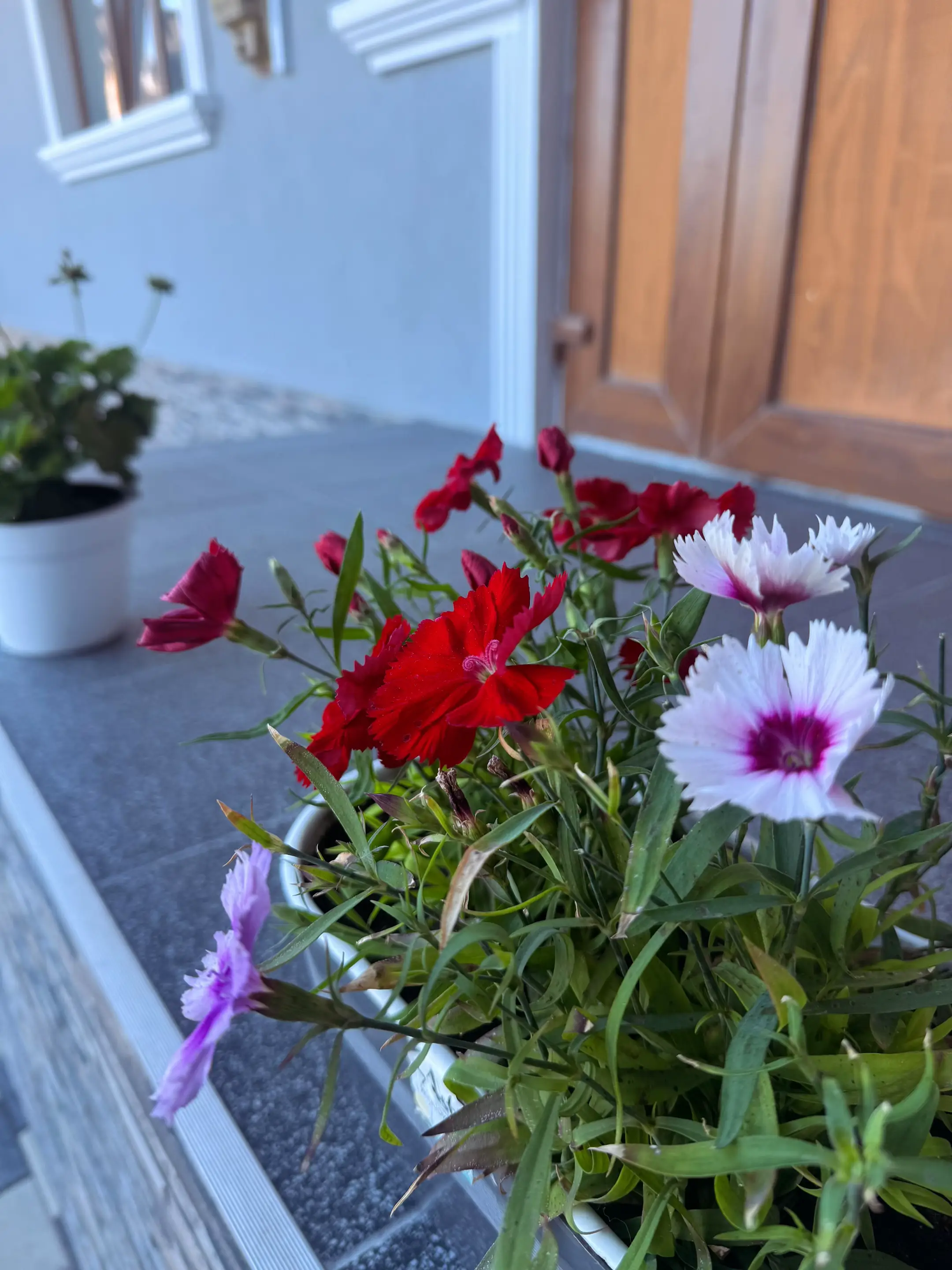 Image 7 of 14